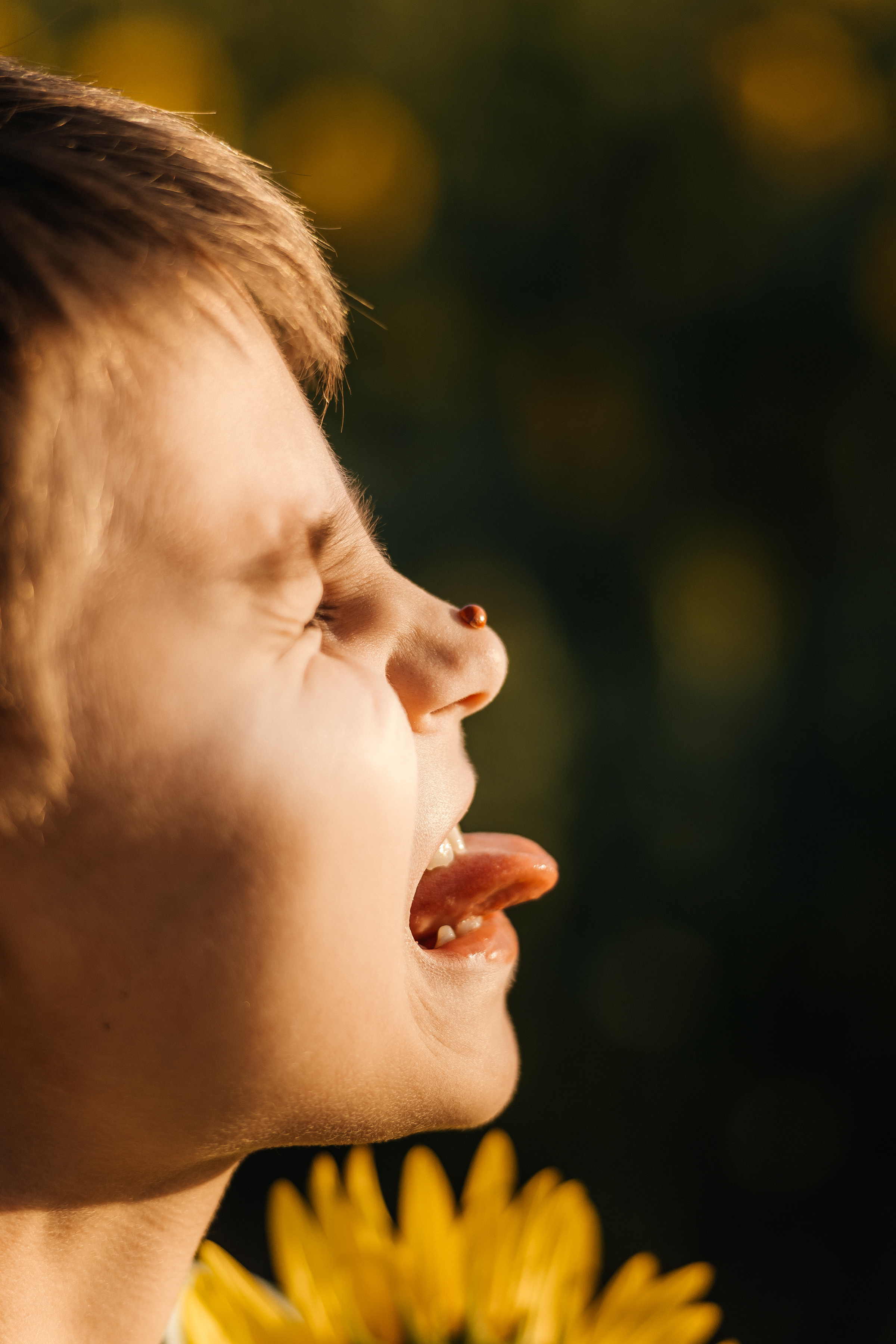 Ксения с сыном в подсолнухах. Ольга Плаксина фотограф в Саратове