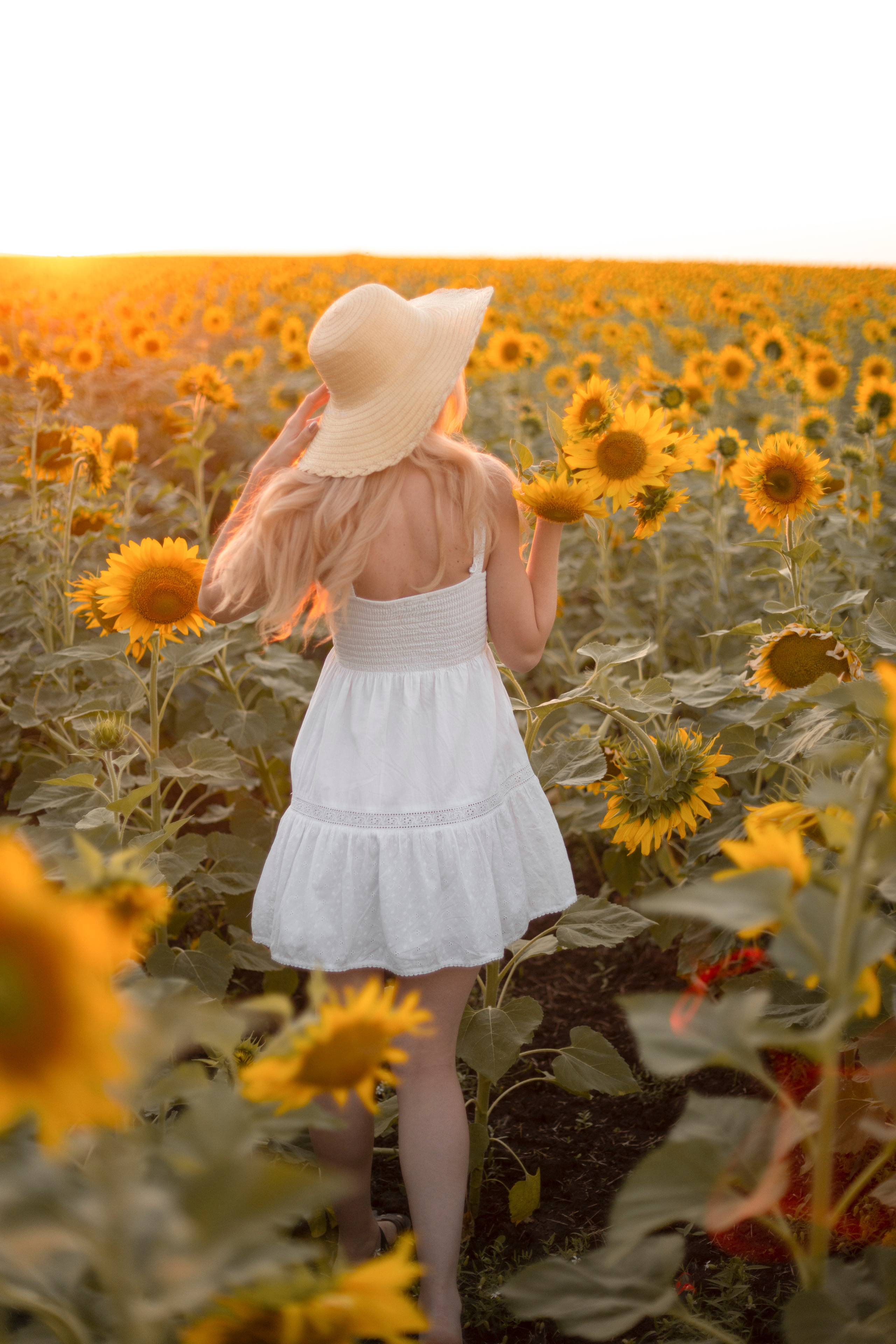 Калина. Ольга Плаксина фотограф в Саратове