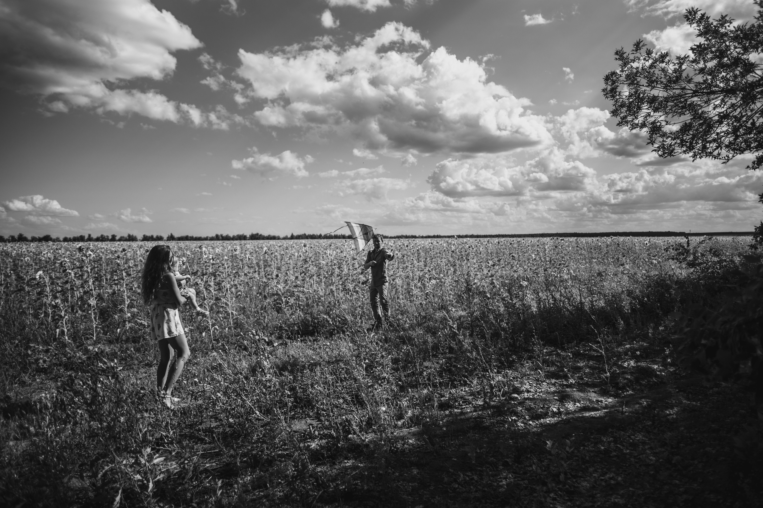 Семейная сьемка в подсолнухах. Ольга Плаксина фотограф в Саратове