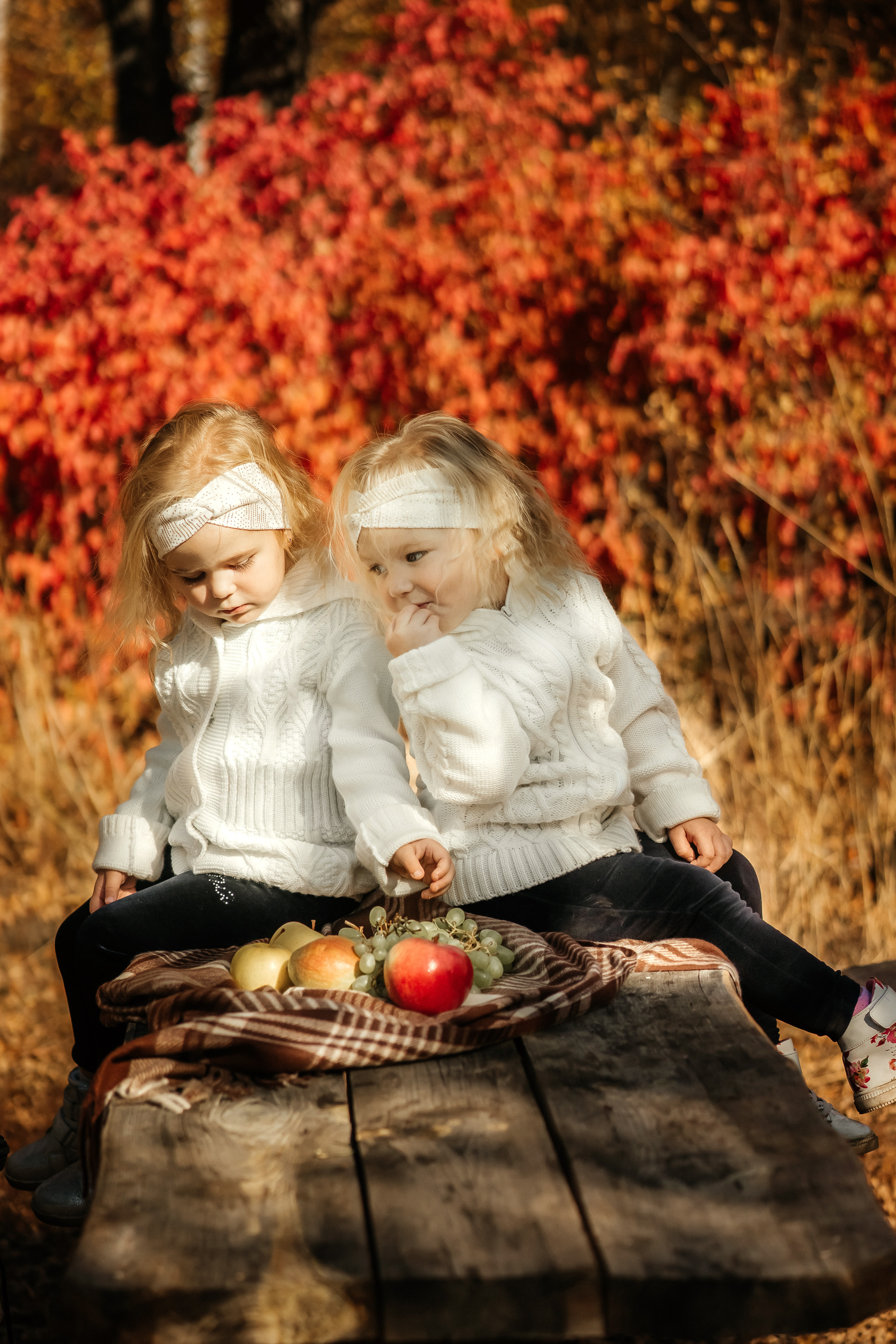 Семья Ореховых осенняя прогулка. Ольга Плаксина фотограф в Саратове