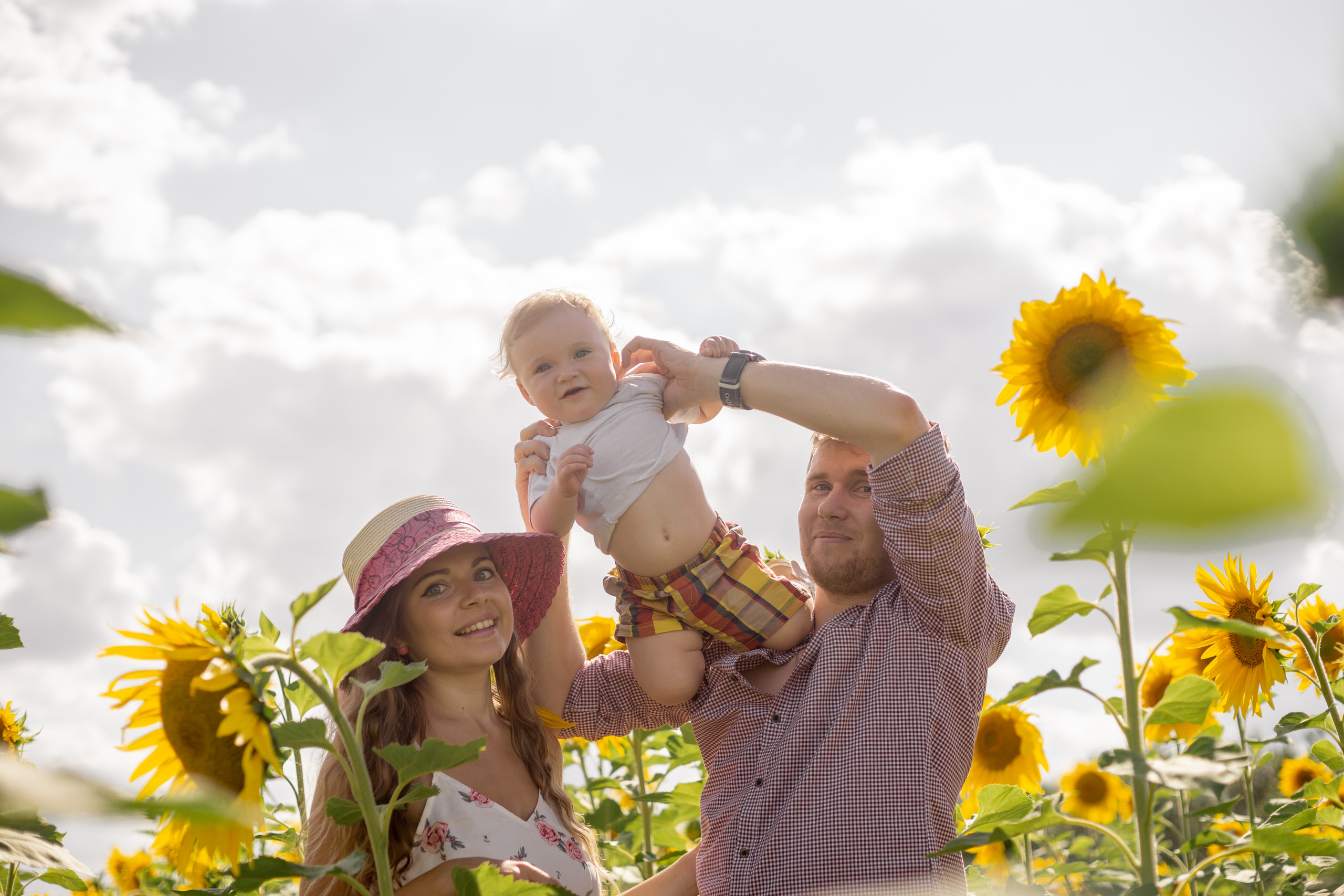 Семейная сьемка в подсолнухах. Ольга Плаксина фотограф в Саратове