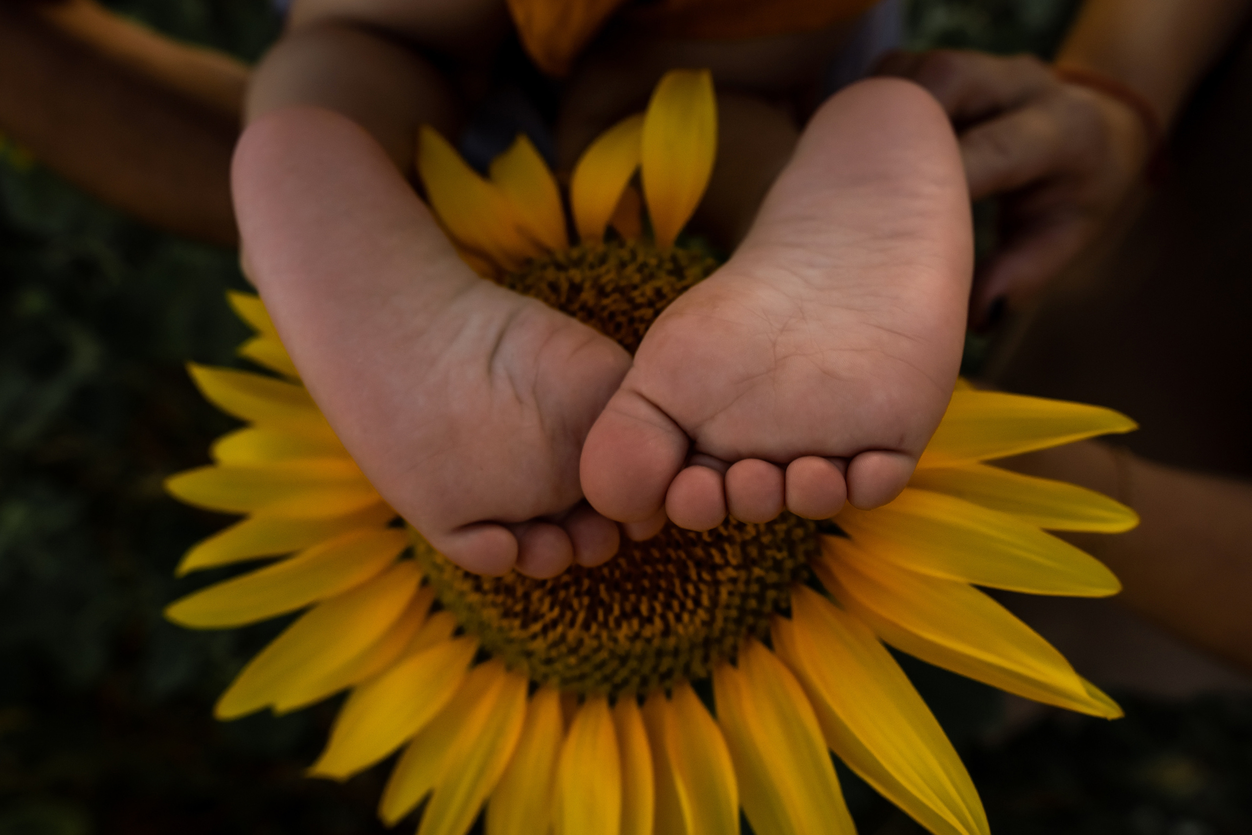 Наташа и Дима и маленький Тима. Ольга Плаксина фотограф в Саратове