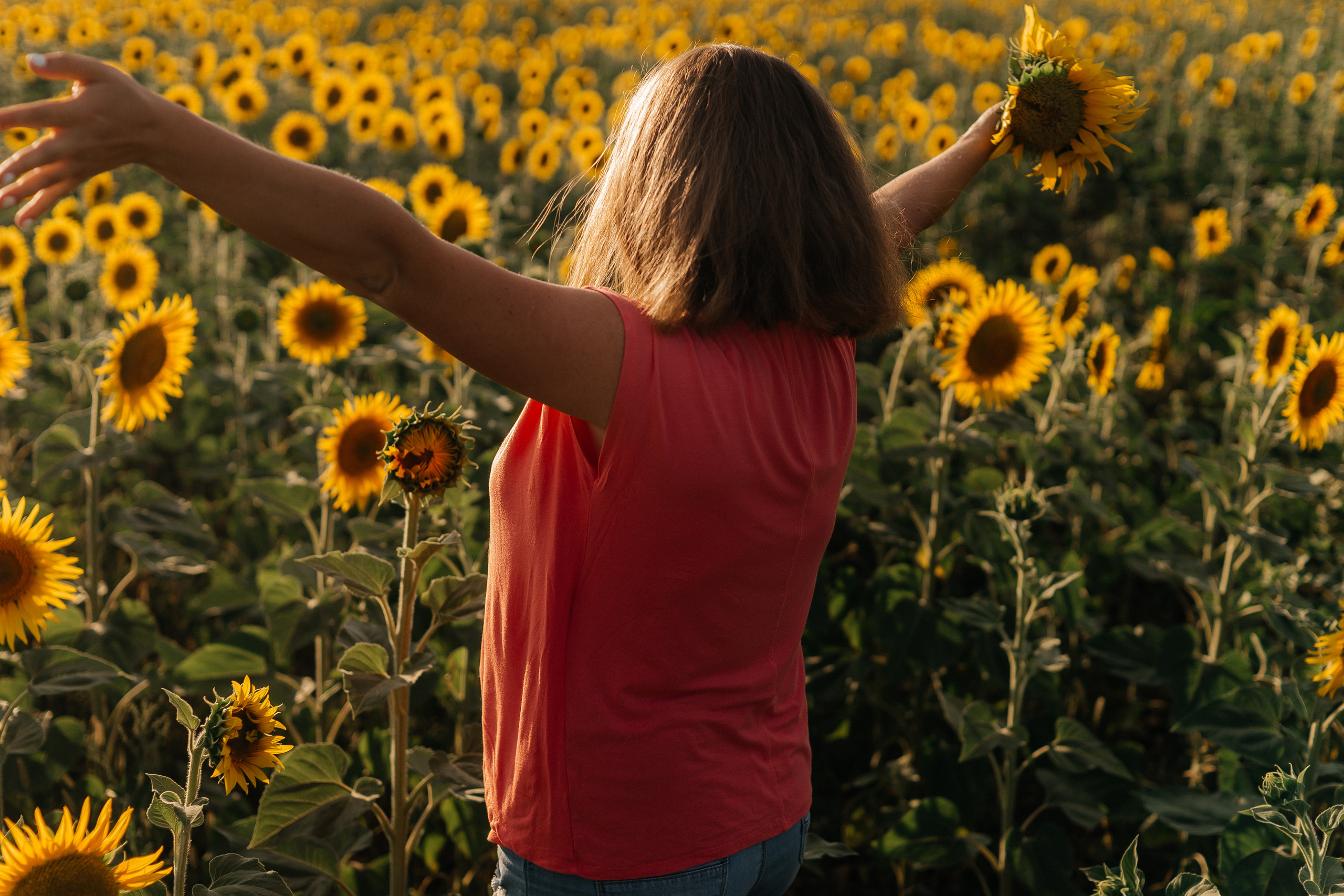 Семья ежовых в подсолнухах. Ольга Плаксина фотограф в Саратове
