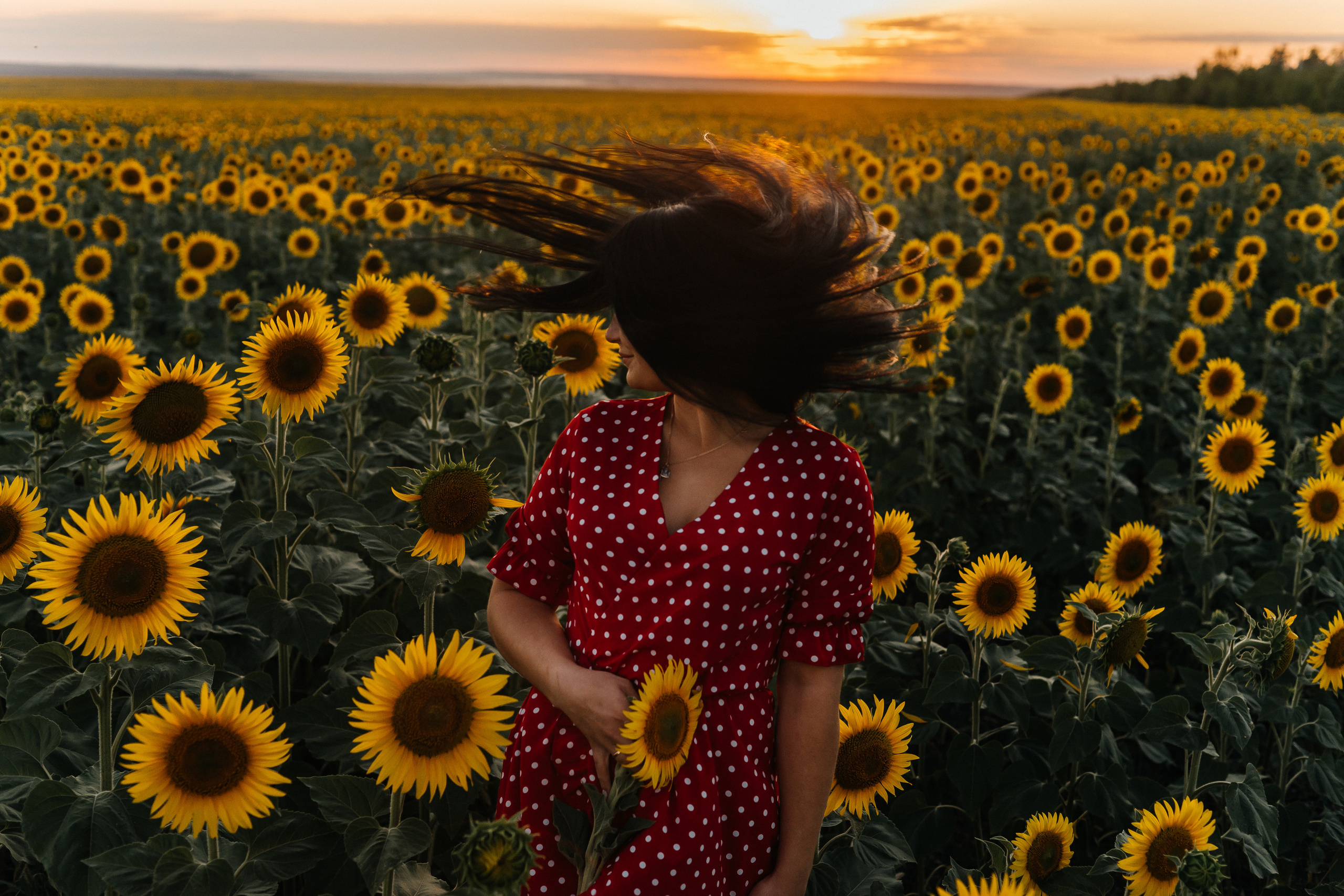 Полина в поле подсолнухов. Ольга Плаксина фотограф в Саратове