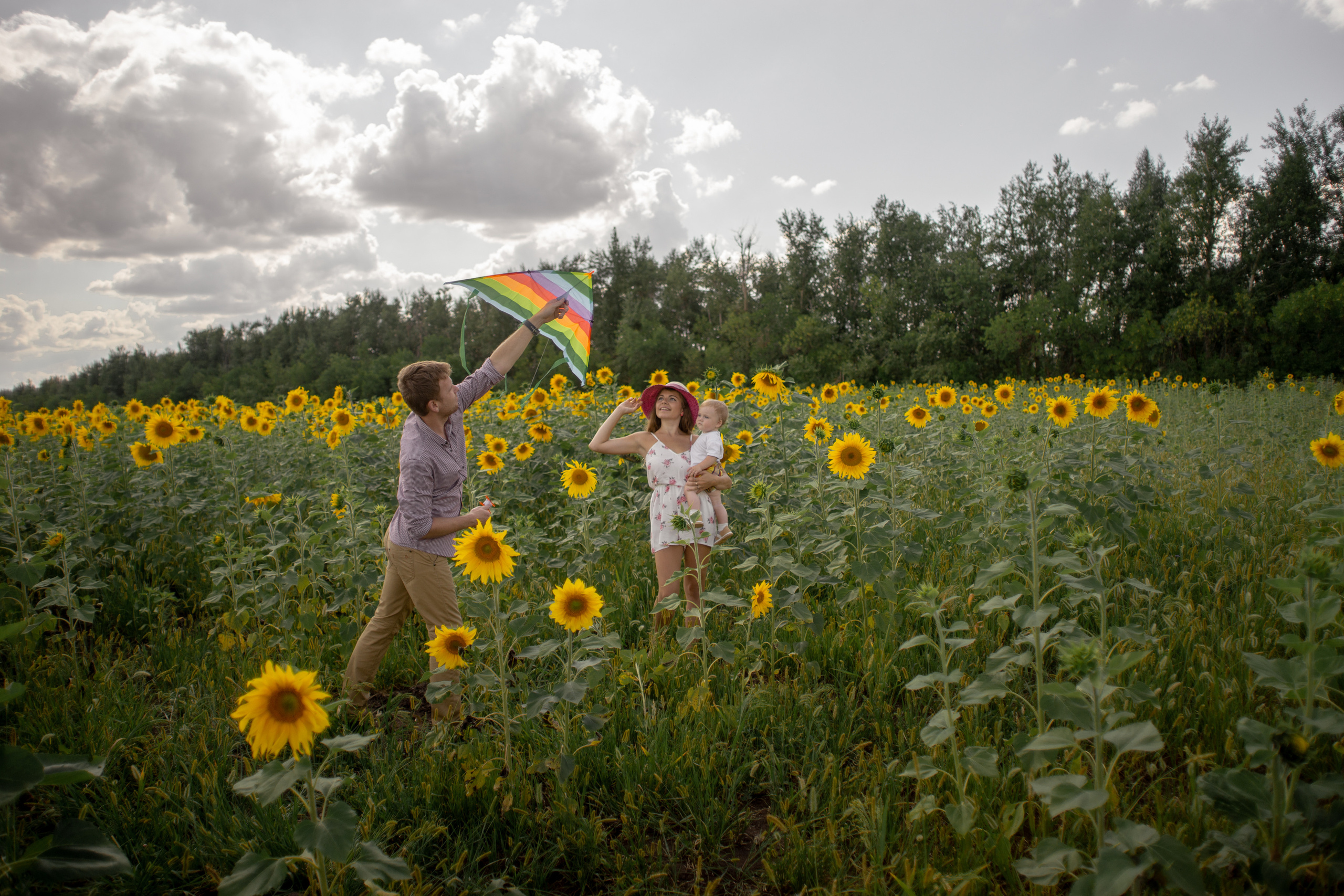 Семейная сьемка в подсолнухах. Ольга Плаксина фотограф в Саратове
