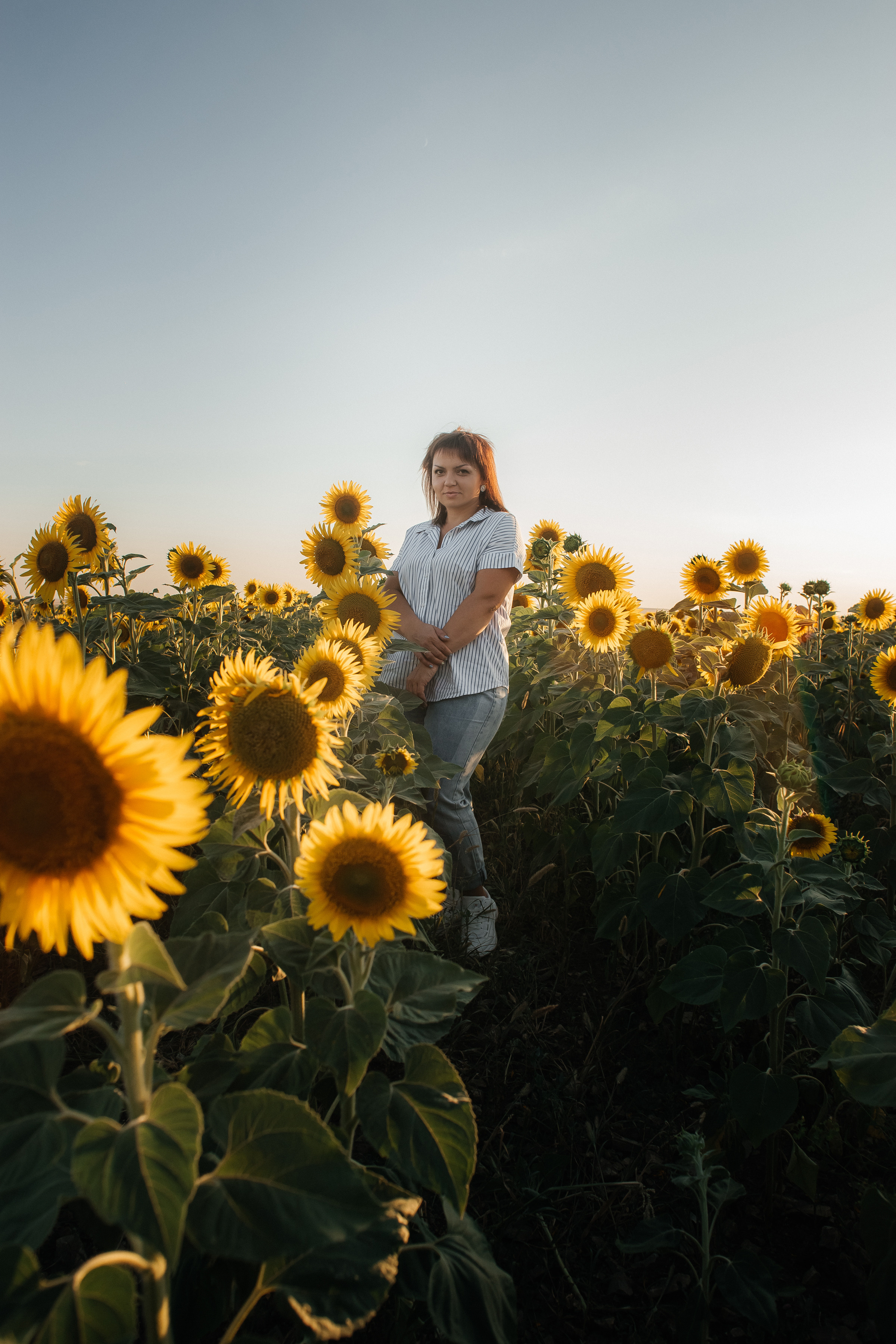 Ксения с сыном в подсолнухах. Ольга Плаксина фотограф в Саратове