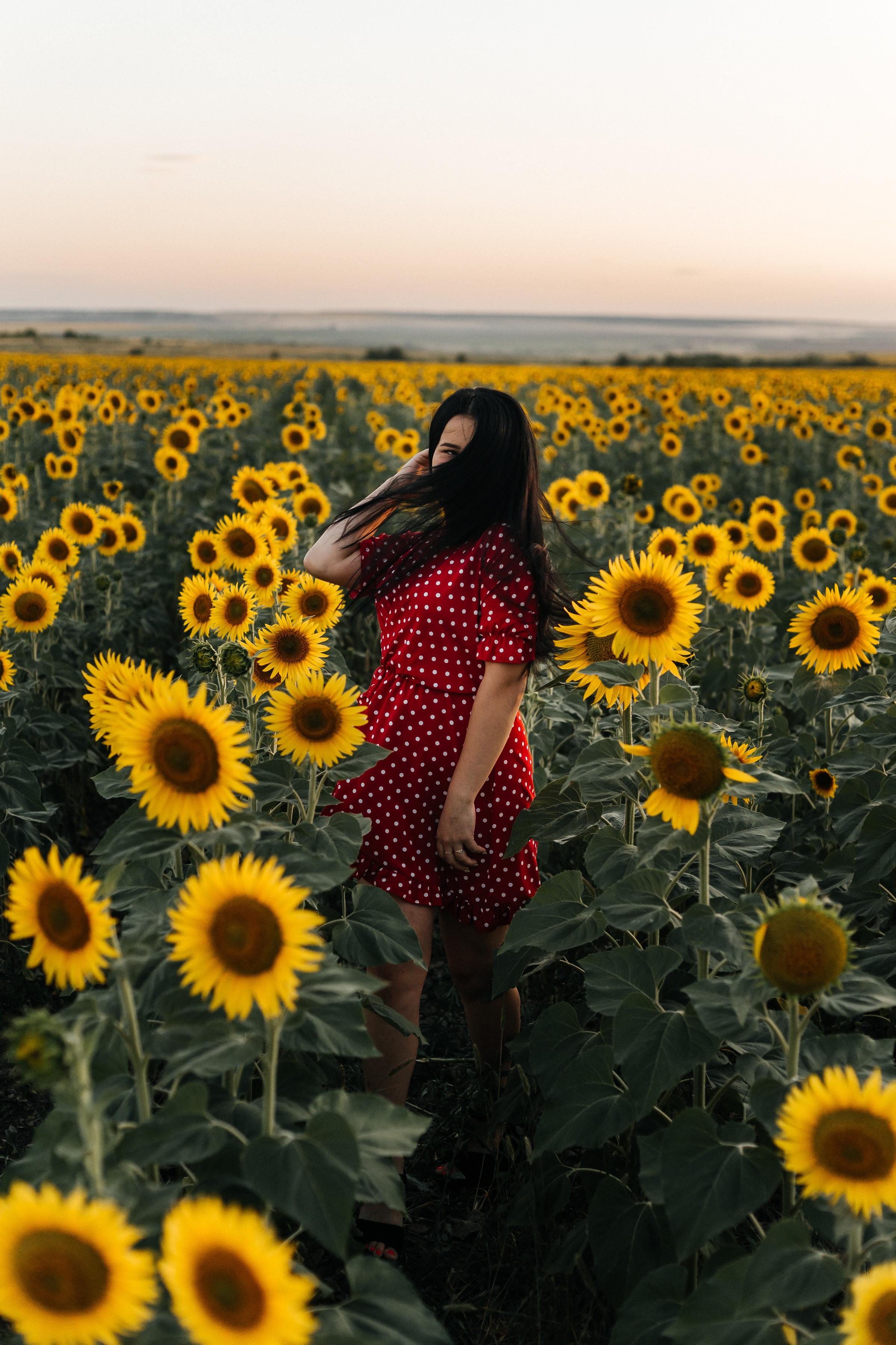 Полина в поле подсолнухов. Ольга Плаксина фотограф в Саратове