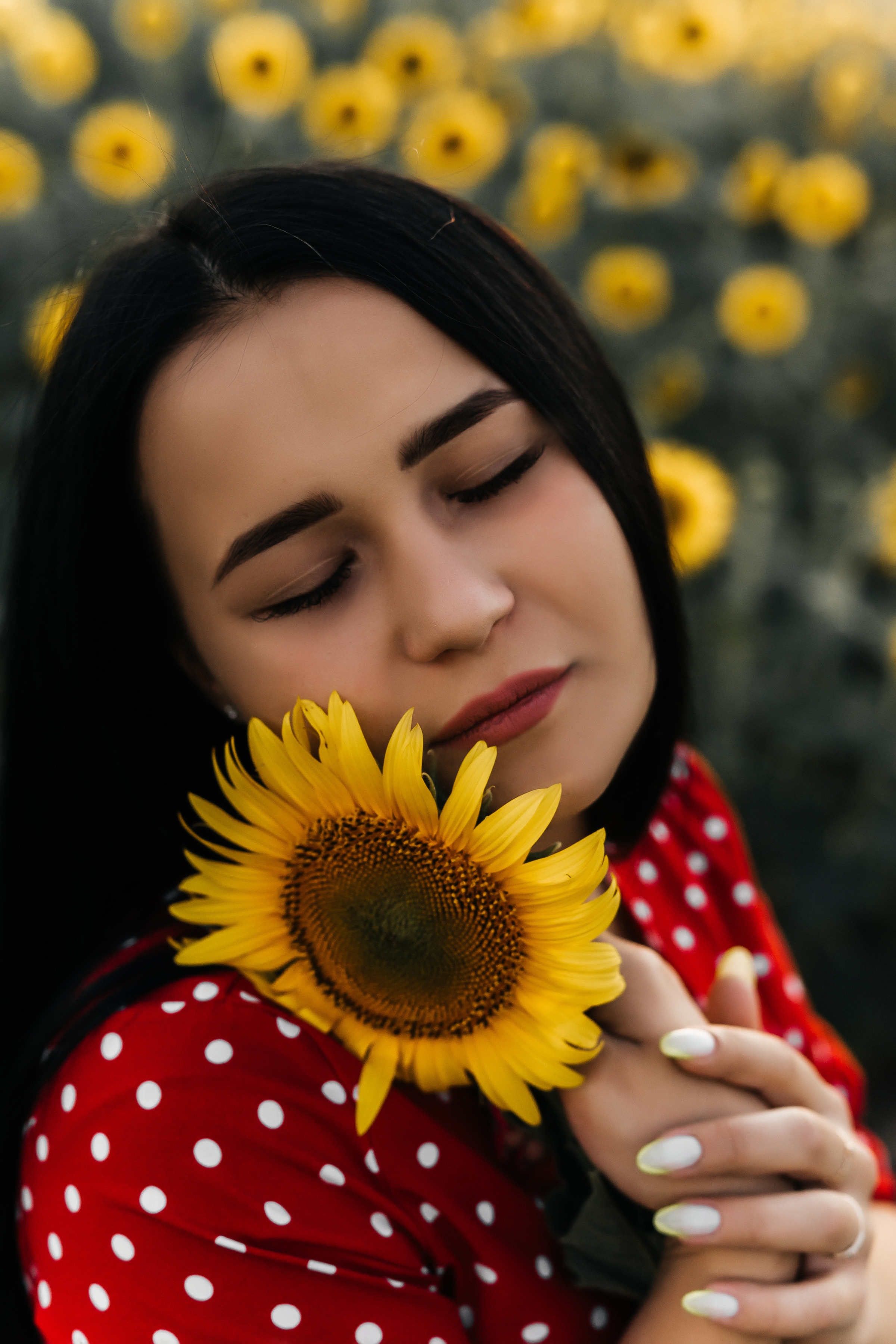 Полина в поле подсолнухов. Ольга Плаксина фотограф в Саратове