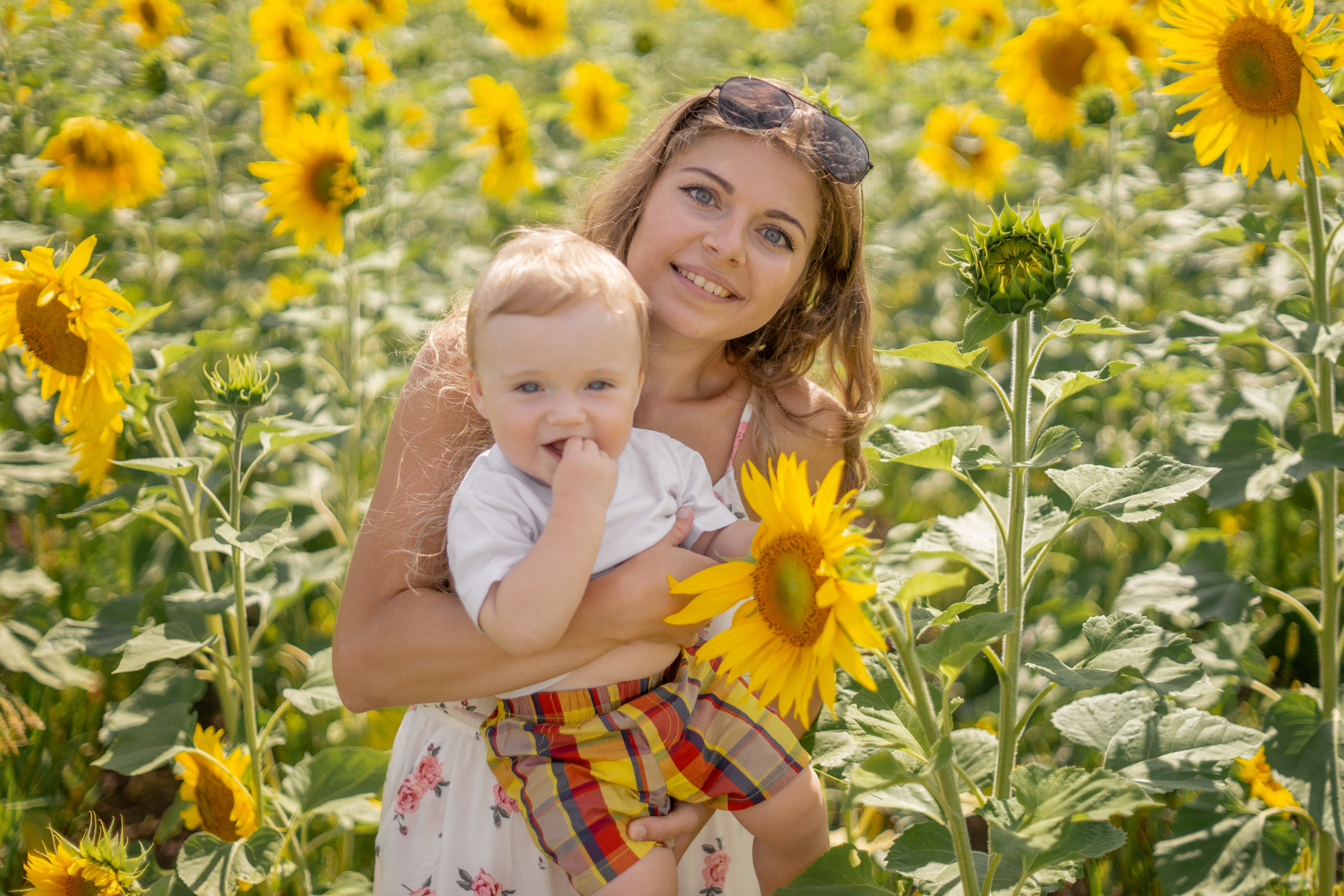 Семейная сьемка в подсолнухах. Ольга Плаксина фотограф в Саратове