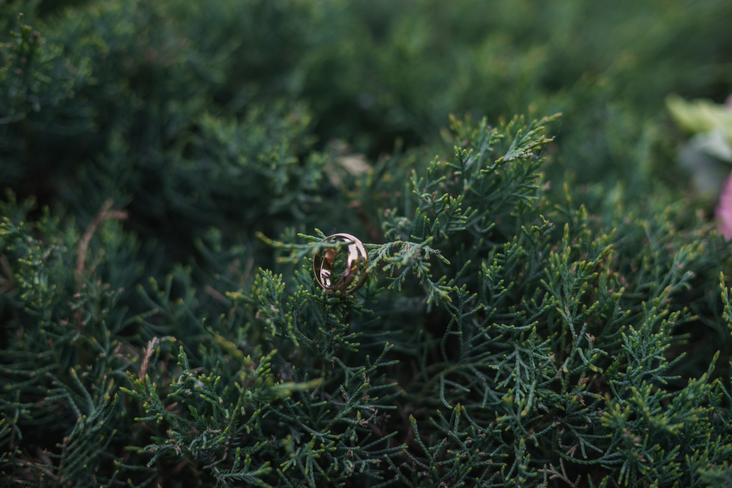 Сергей и Кристина 18 мая 2019 г. Ольга Плаксина фотограф в Саратове