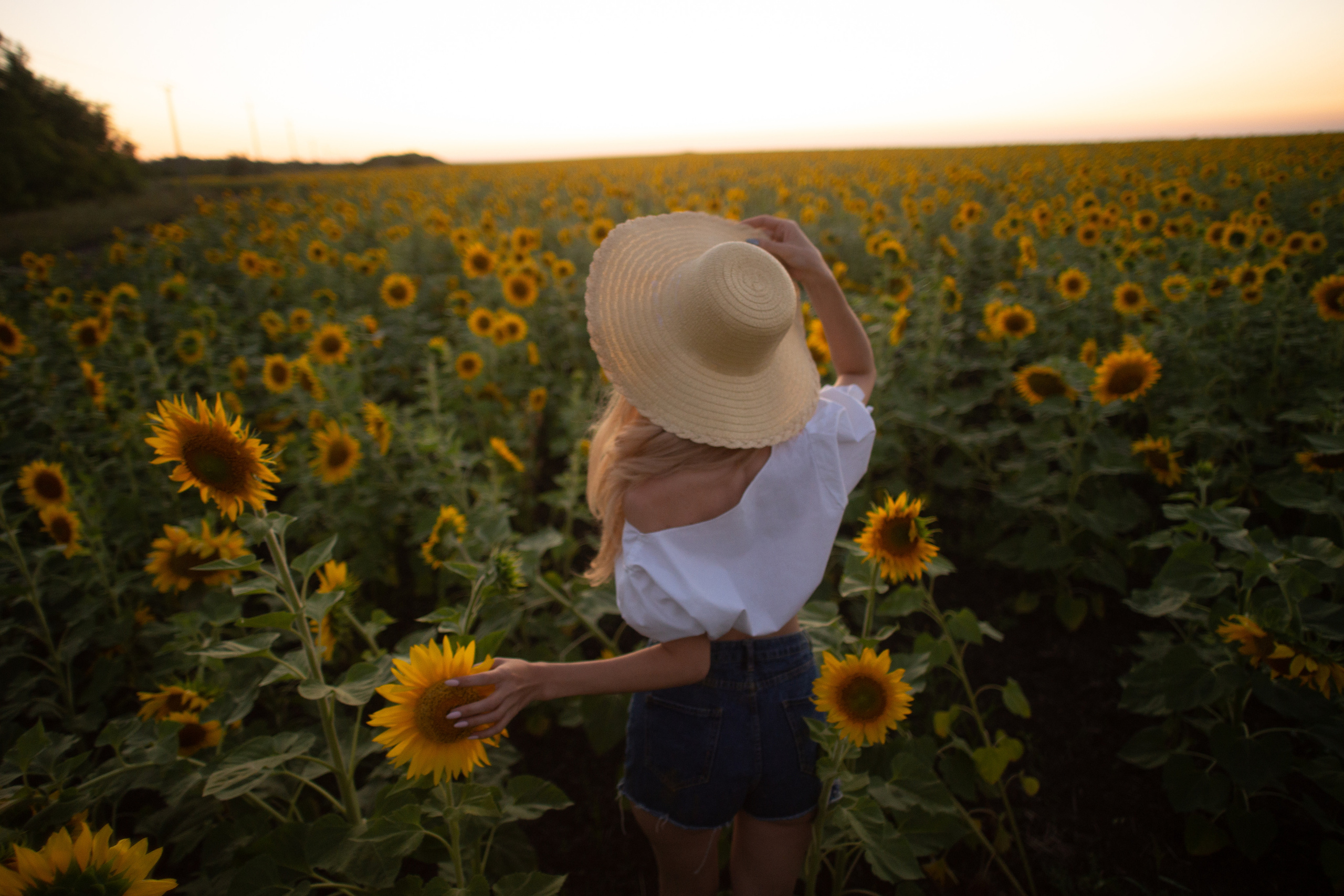 Калина. Ольга Плаксина фотограф в Саратове