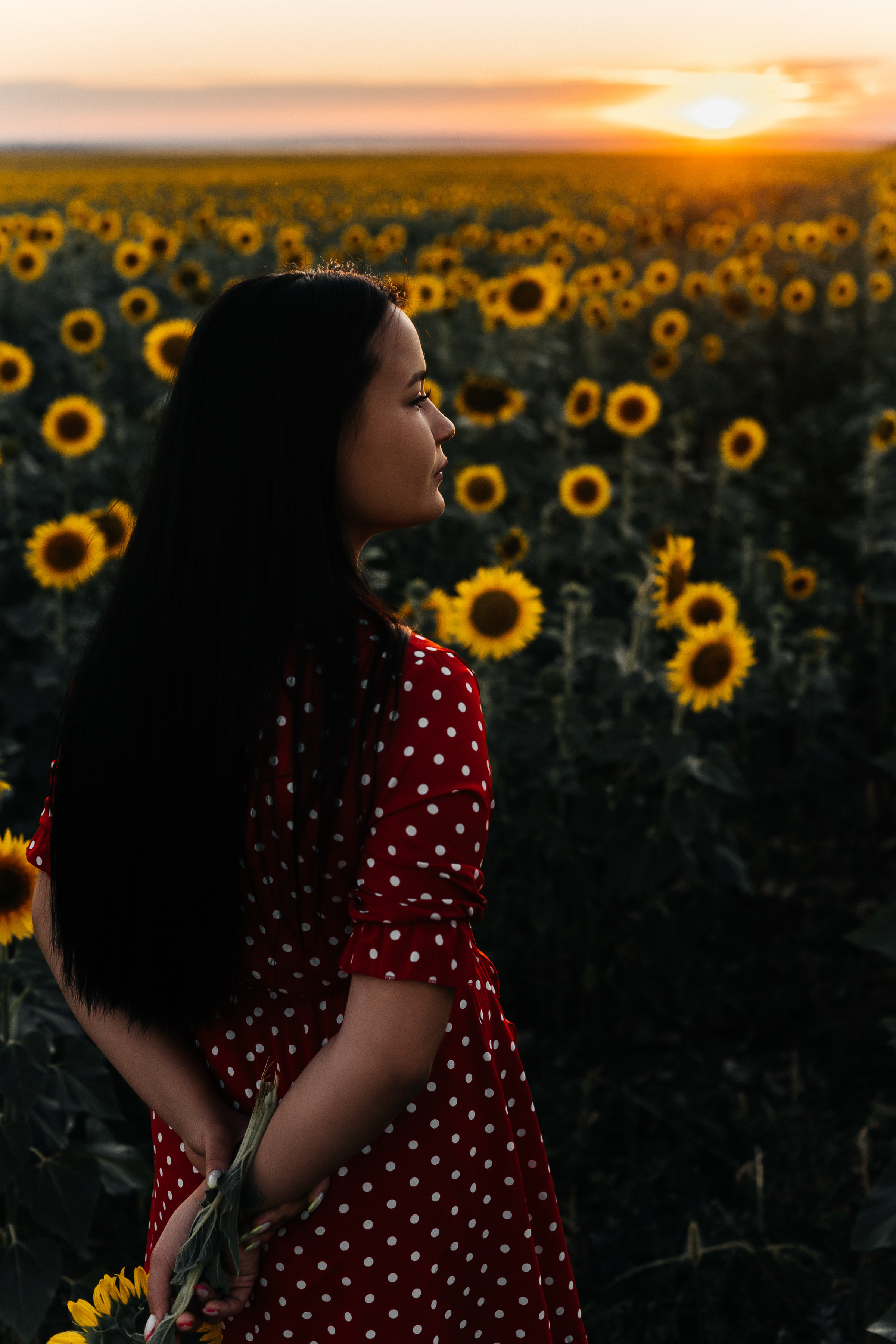 Полина в поле подсолнухов. Ольга Плаксина фотограф в Саратове