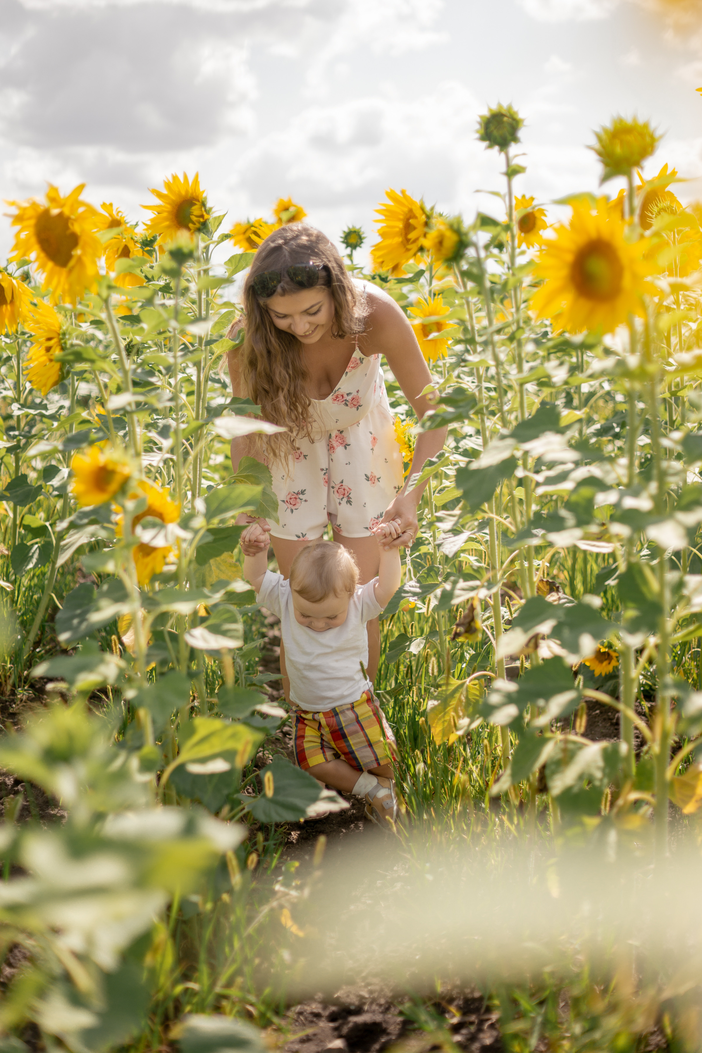 Семейная сьемка в подсолнухах. Ольга Плаксина фотограф в Саратове