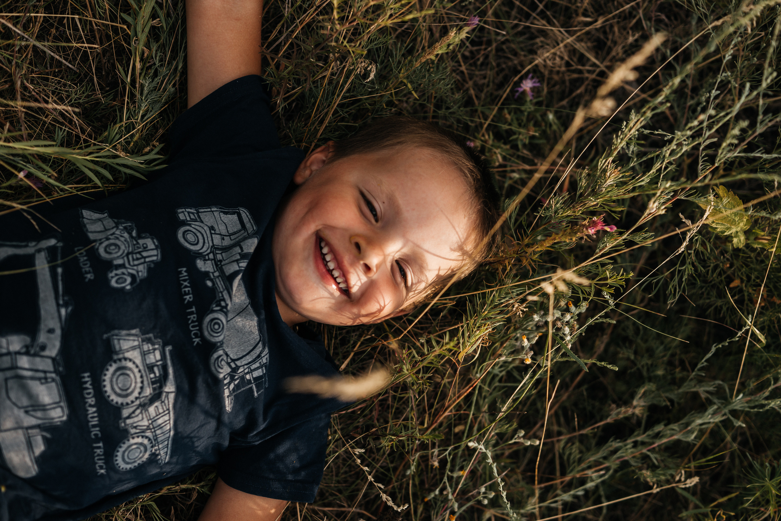 Семья ежовых в подсолнухах. Ольга Плаксина фотограф в Саратове