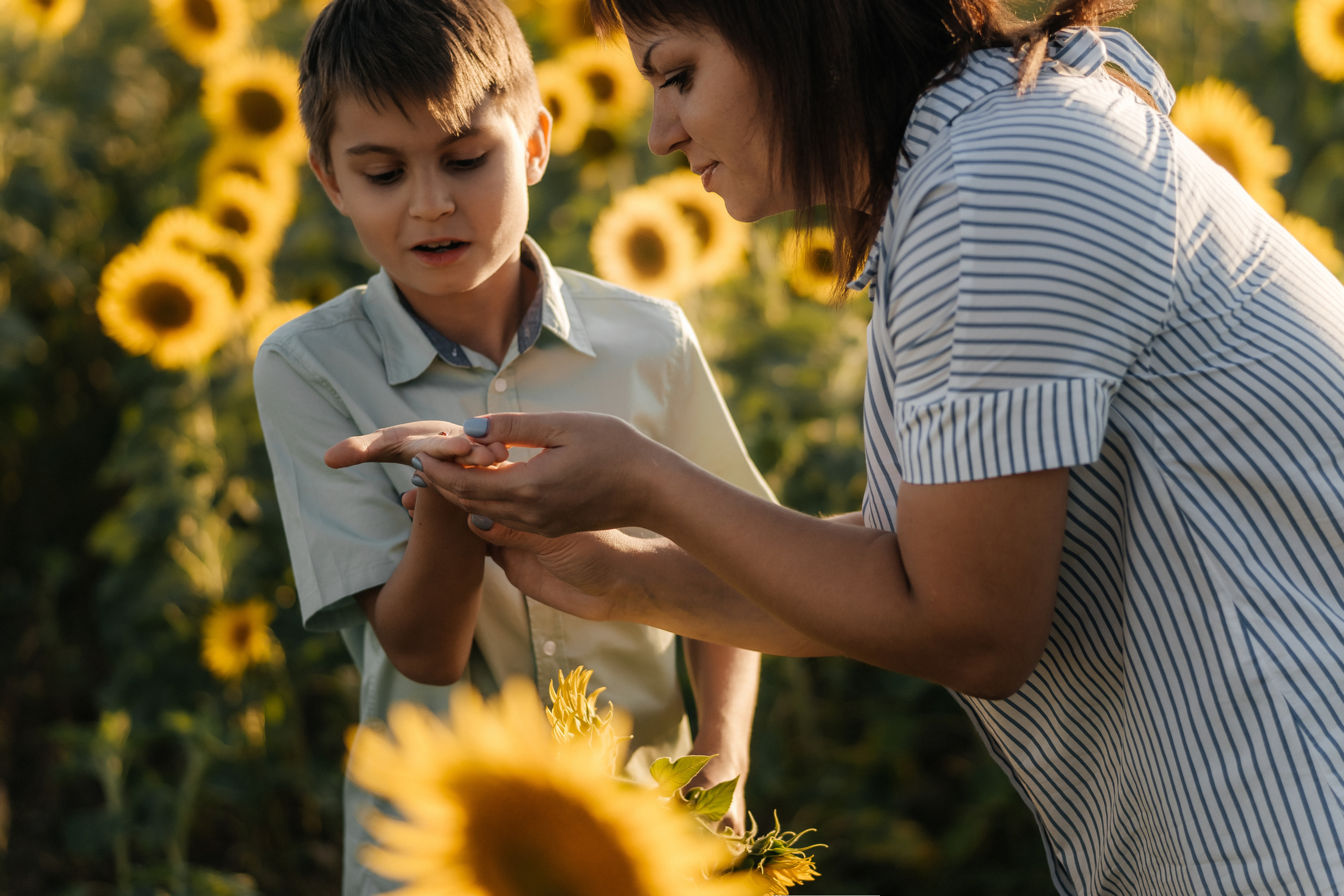 Ксения с сыном в подсолнухах. Ольга Плаксина фотограф в Саратове