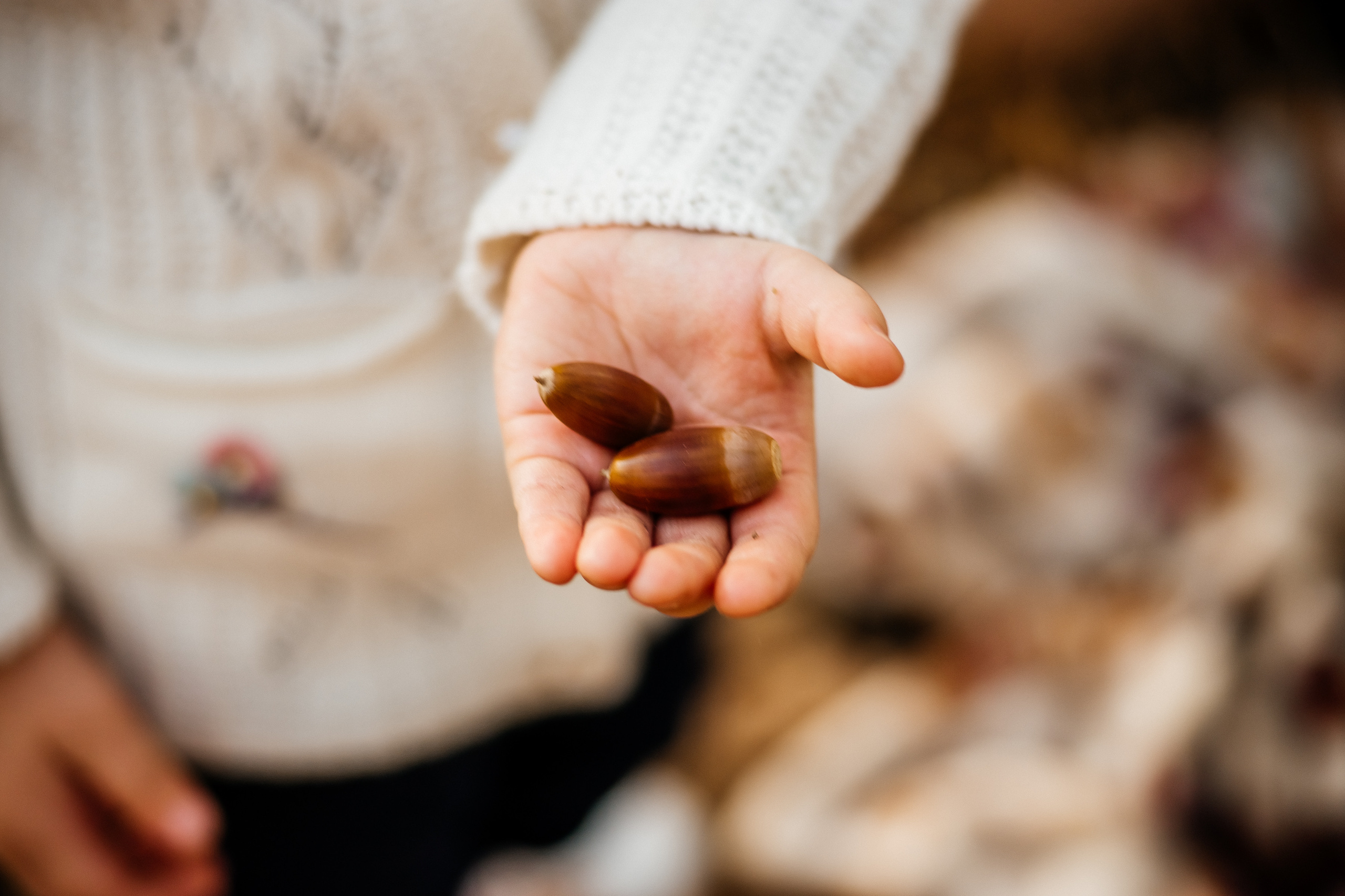 Семья Ореховых осенняя прогулка. Ольга Плаксина фотограф в Саратове