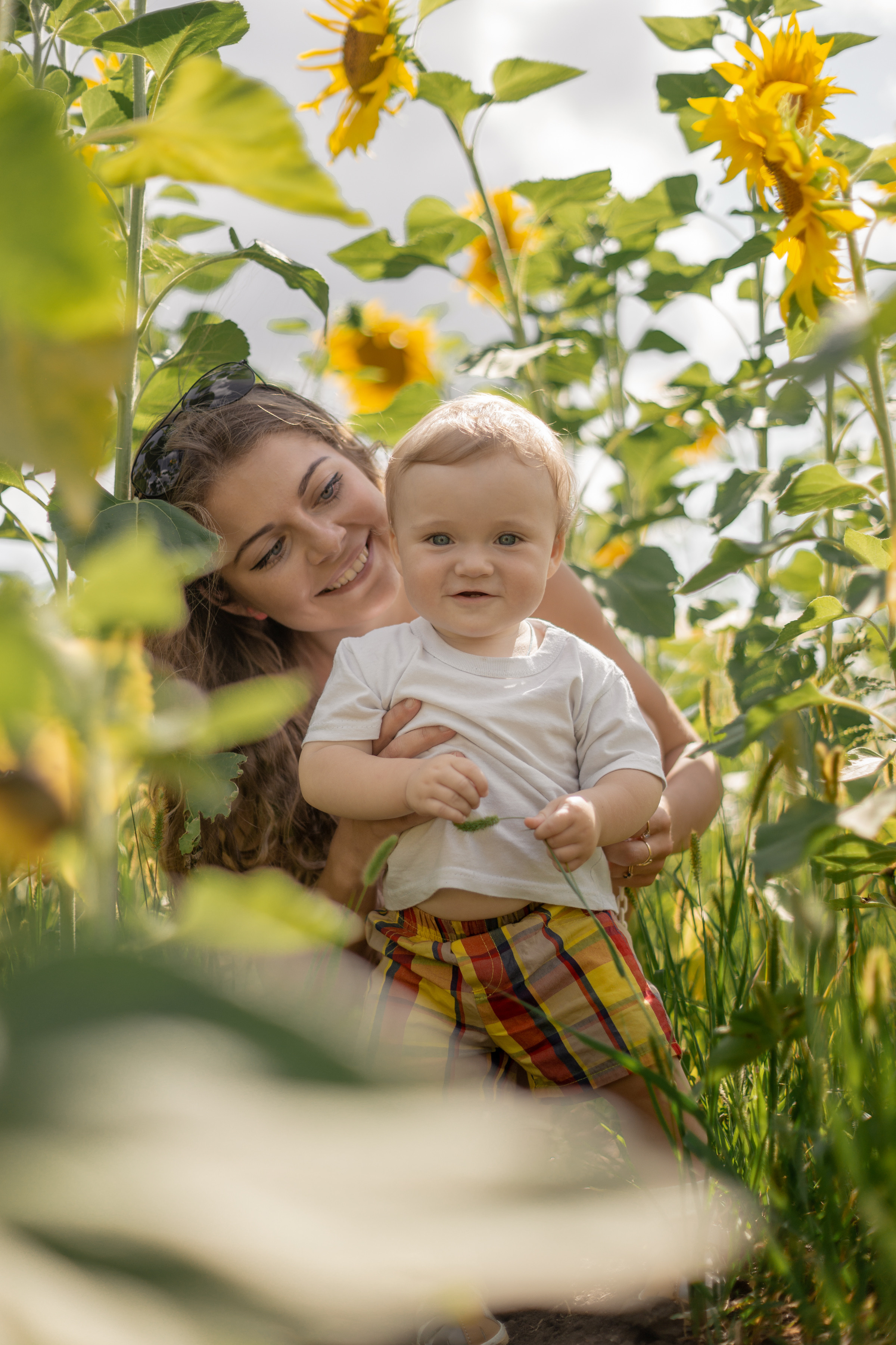 Семейная сьемка в подсолнухах. Ольга Плаксина фотограф в Саратове