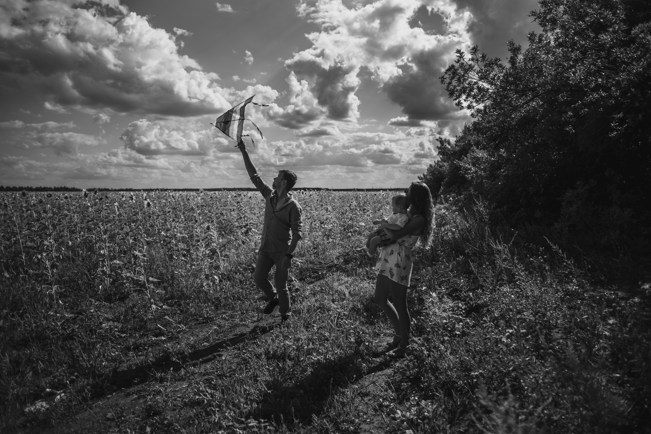 Семейная сьемка в подсолнухах. Ольга Плаксина фотограф в Саратове
