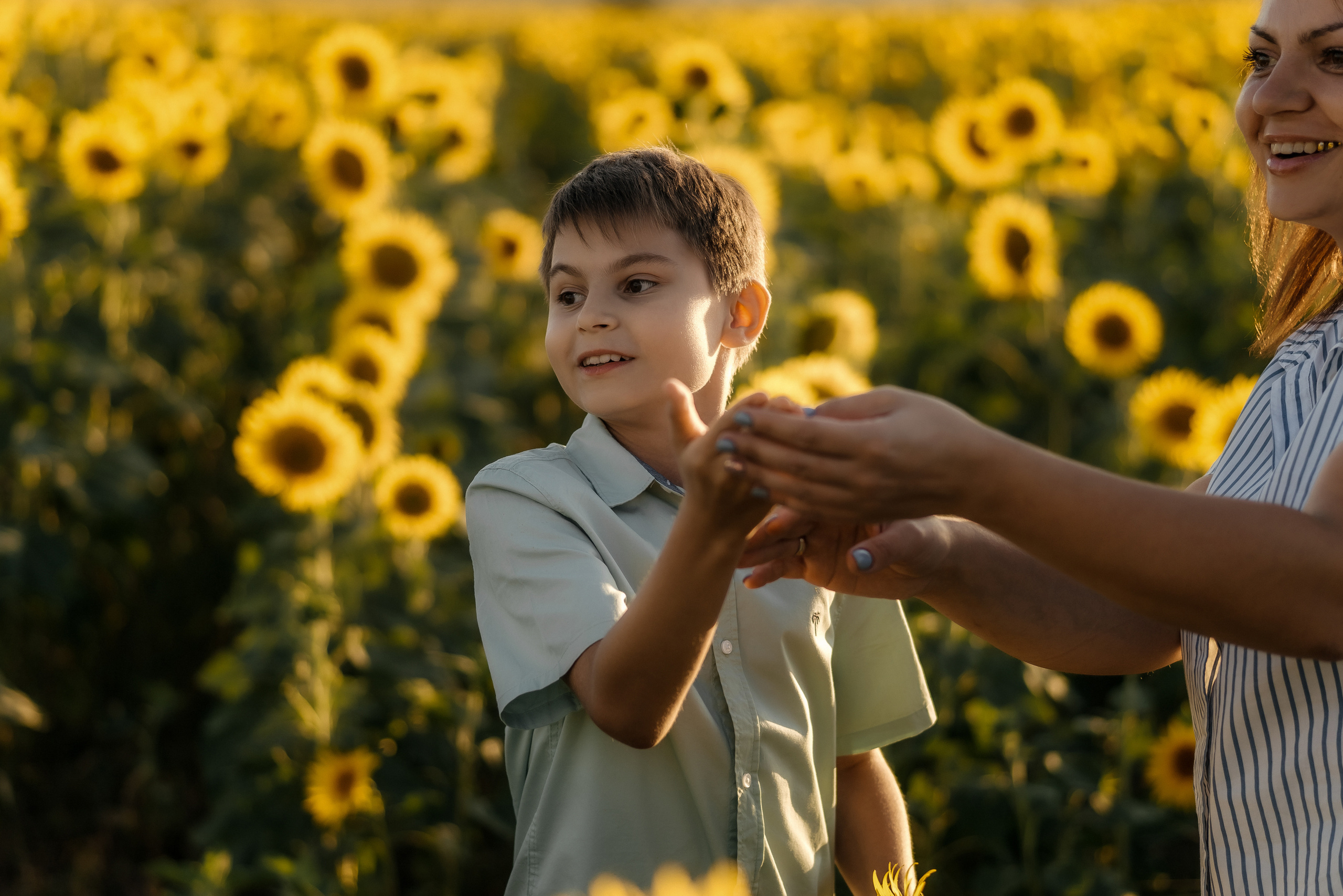Ксения с сыном в подсолнухах. Ольга Плаксина фотограф в Саратове