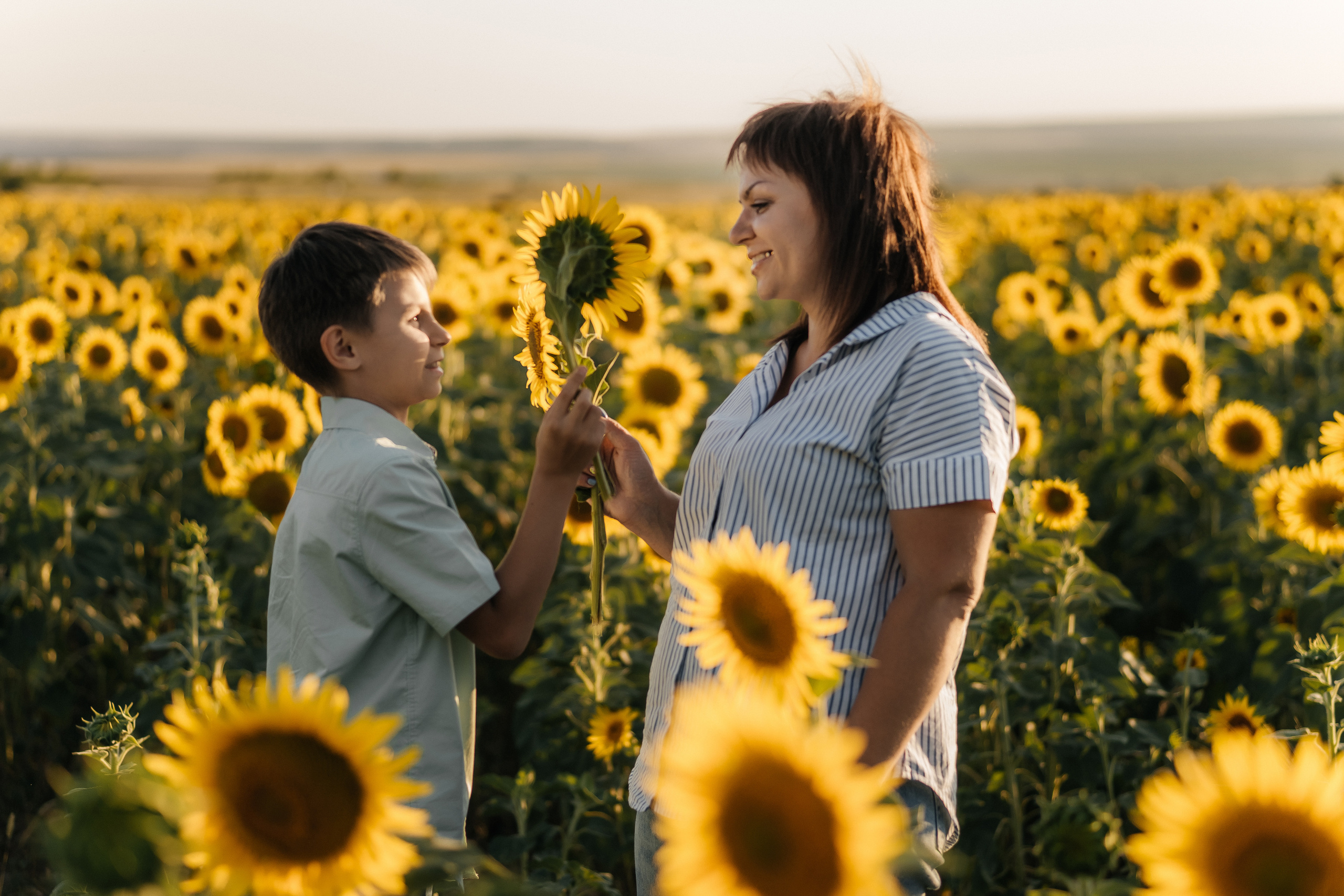 Ксения с сыном в подсолнухах. Ольга Плаксина фотограф в Саратове