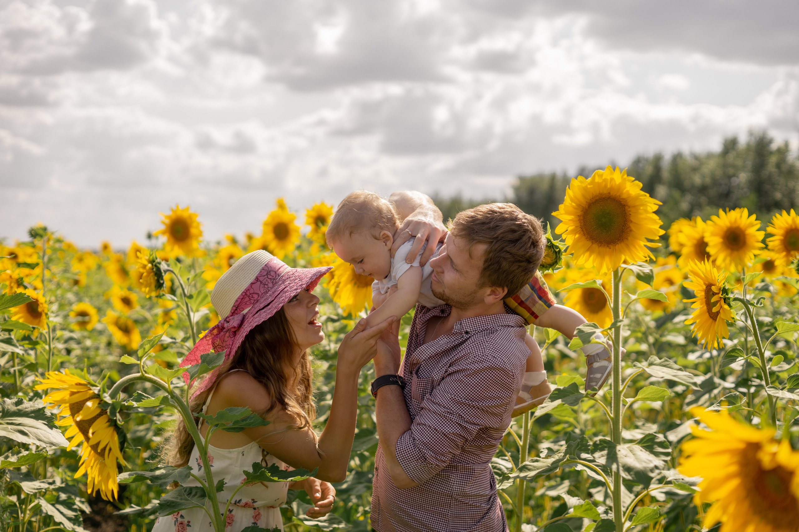 Семейная сьемка в подсолнухах. Ольга Плаксина фотограф в Саратове