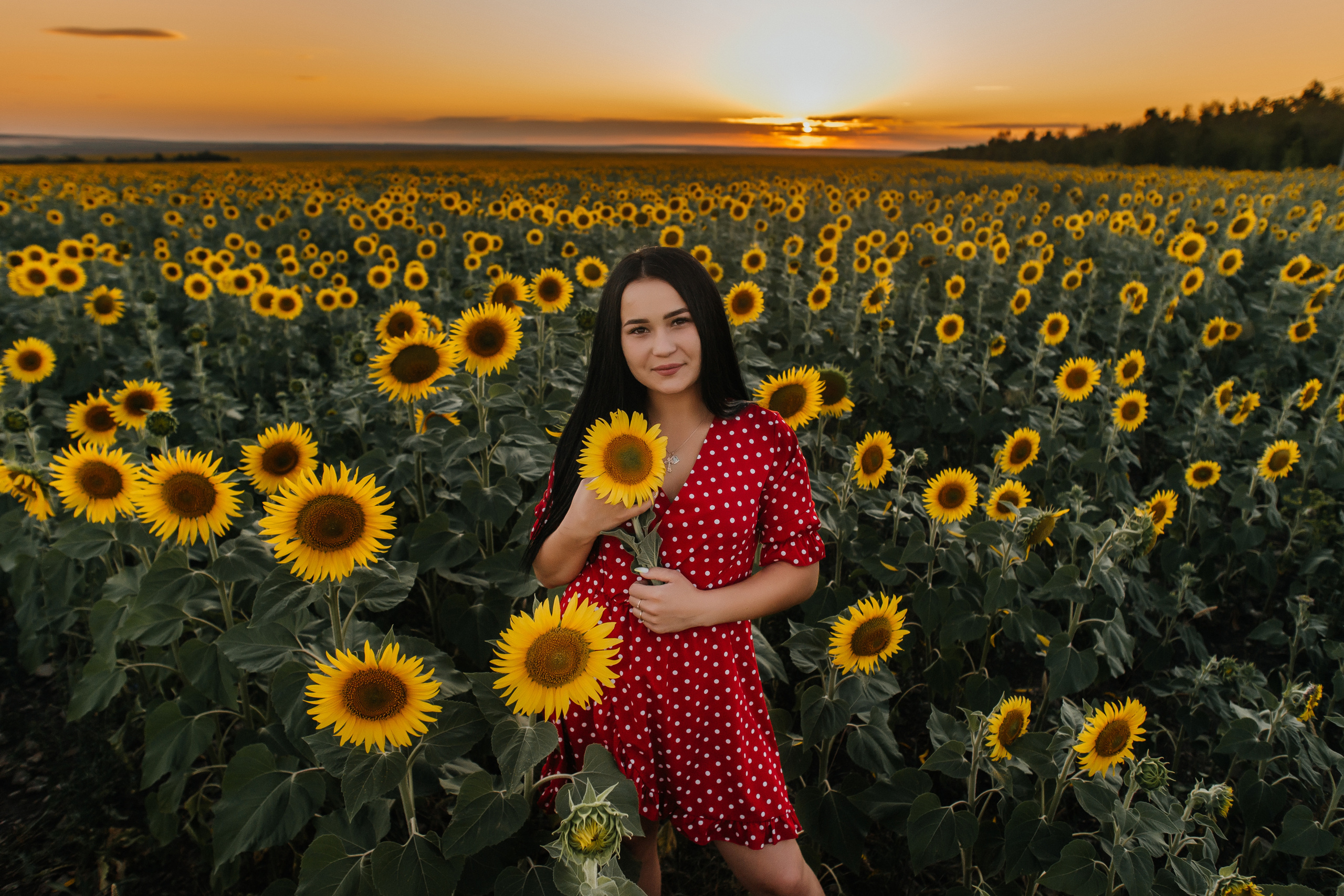 Полина в поле подсолнухов. Ольга Плаксина фотограф в Саратове