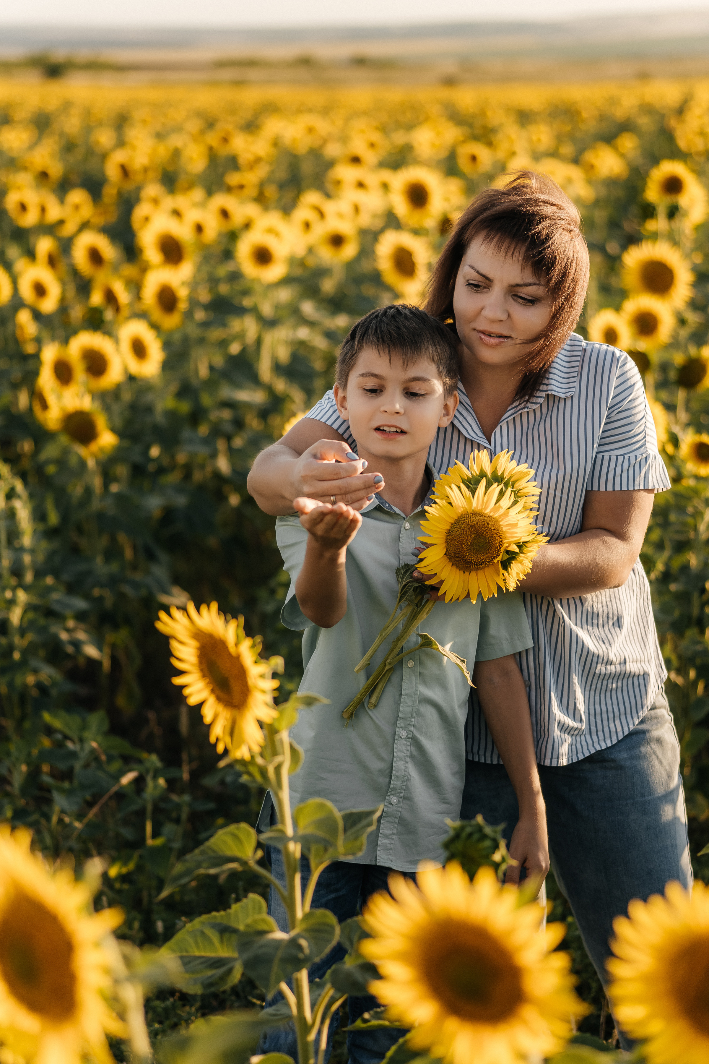 Ксения с сыном в подсолнухах. Ольга Плаксина фотограф в Саратове