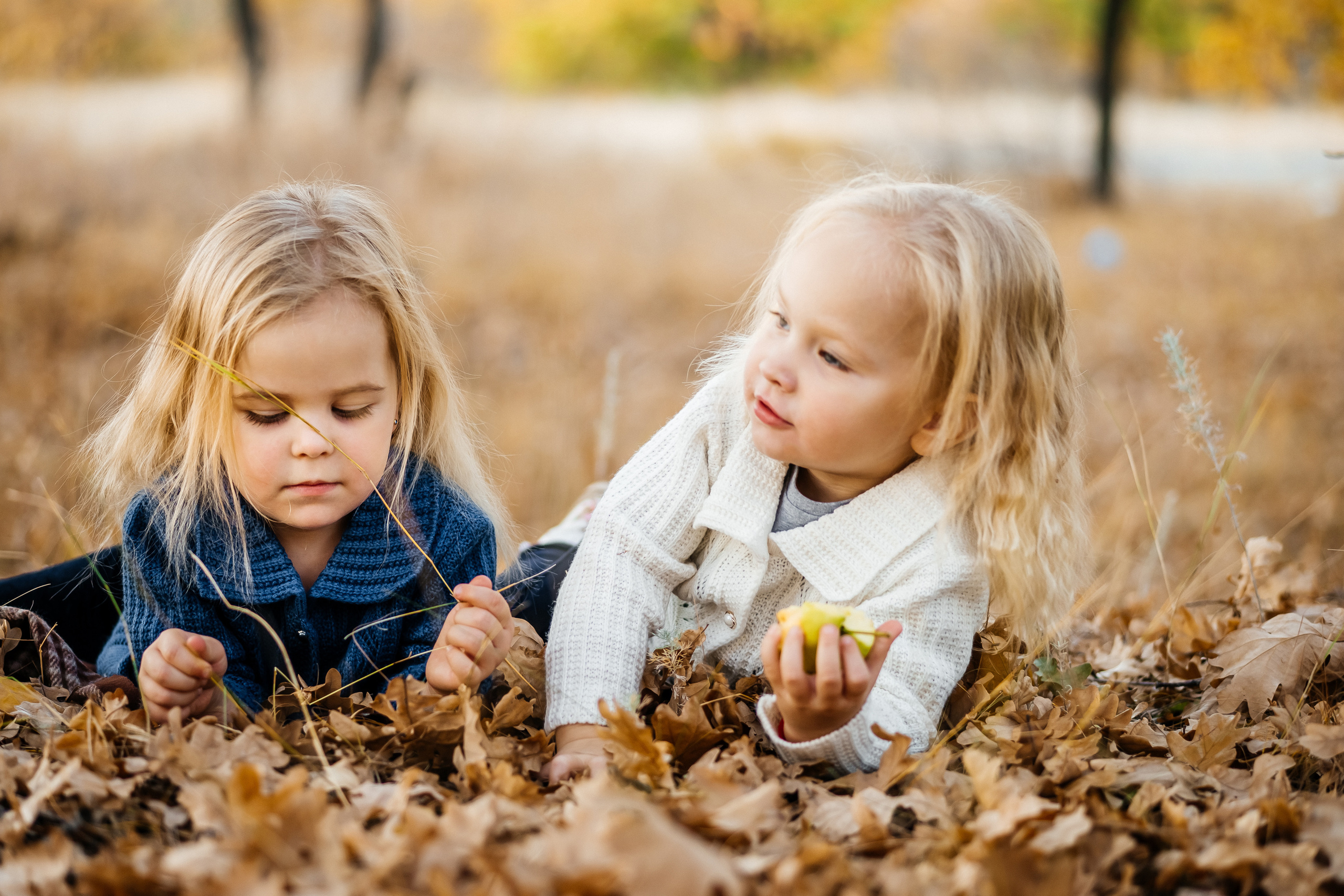 Семья Ореховых осенняя прогулка. Ольга Плаксина фотограф в Саратове