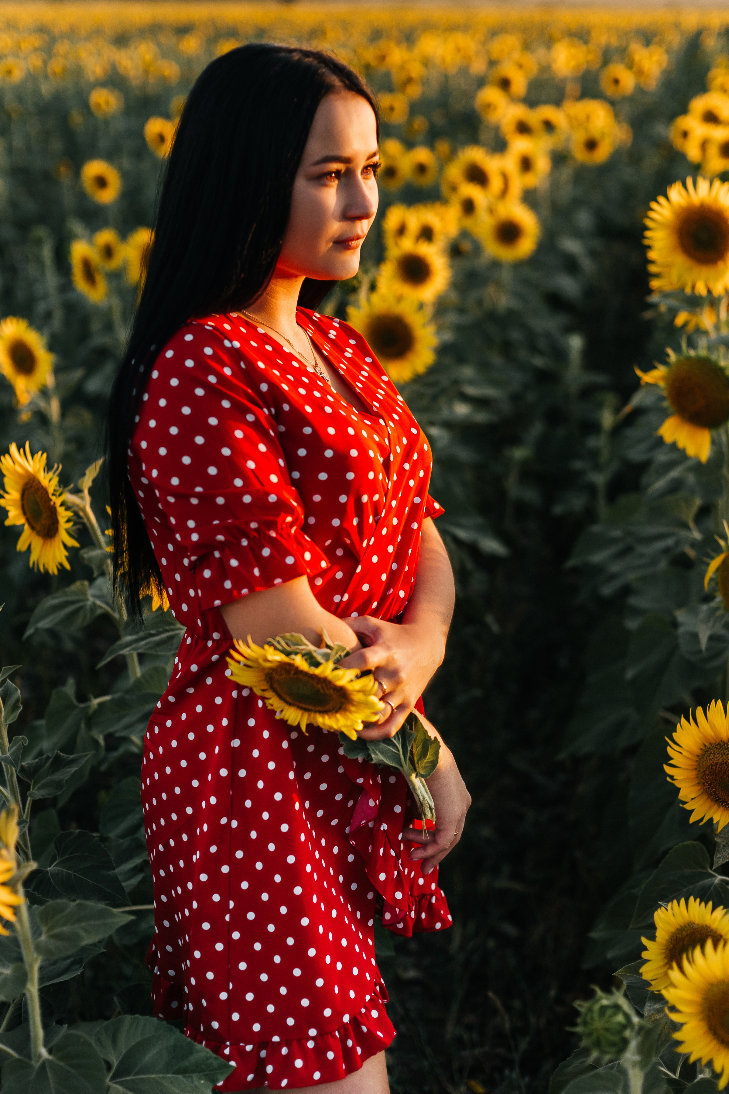 Полина в поле подсолнухов. Ольга Плаксина фотограф в Саратове