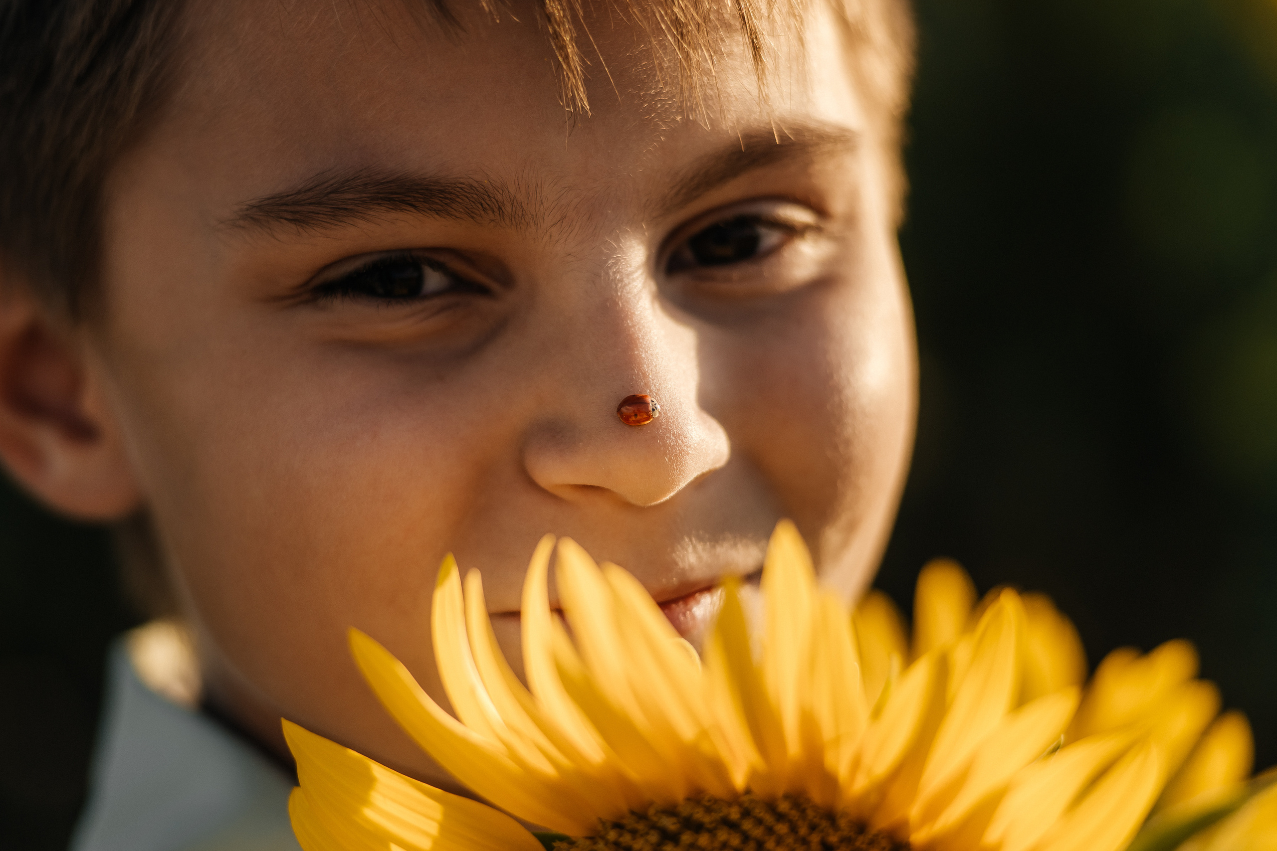 Ксения с сыном в подсолнухах. Ольга Плаксина фотограф в Саратове