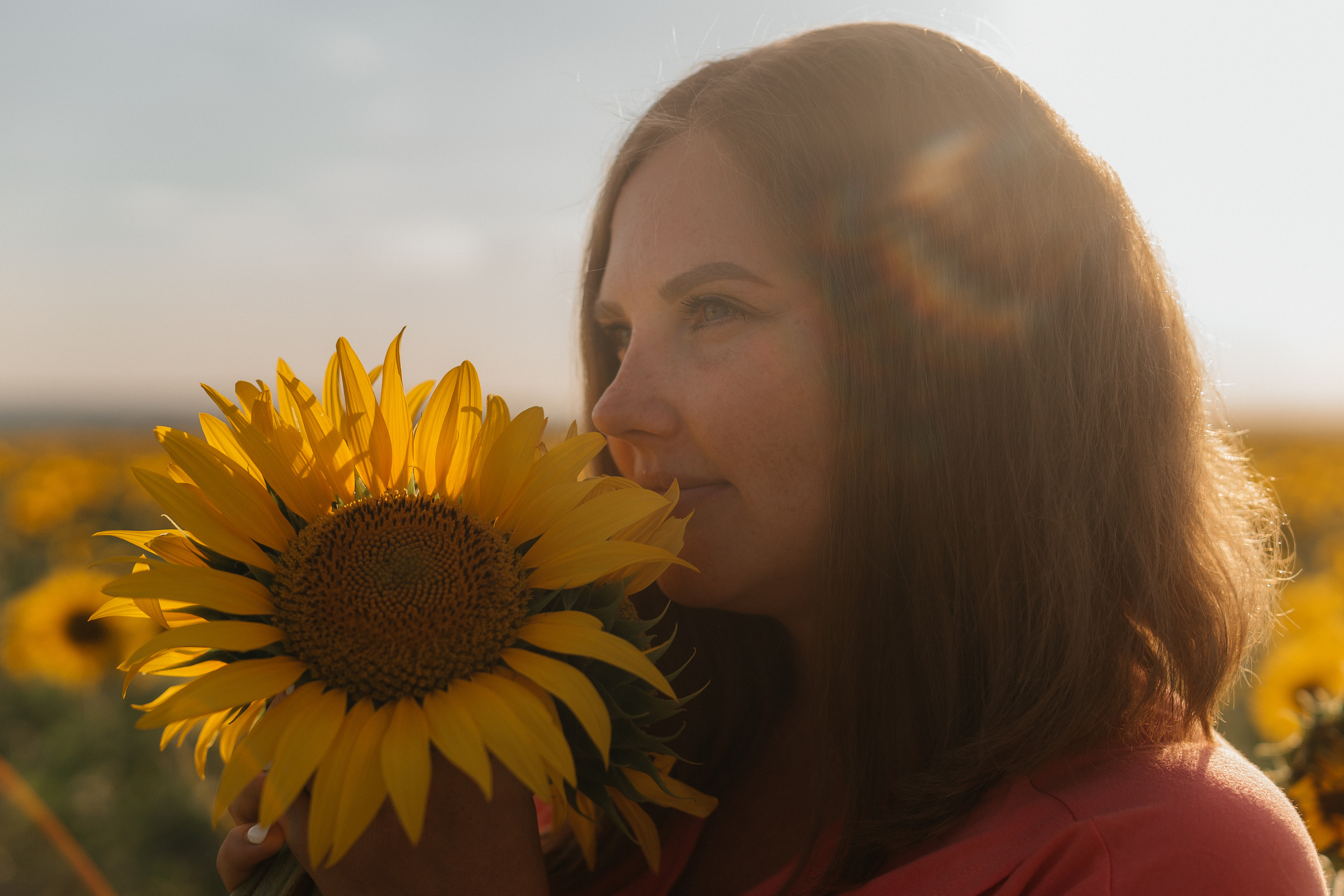 Семья ежовых в подсолнухах. Ольга Плаксина фотограф в Саратове