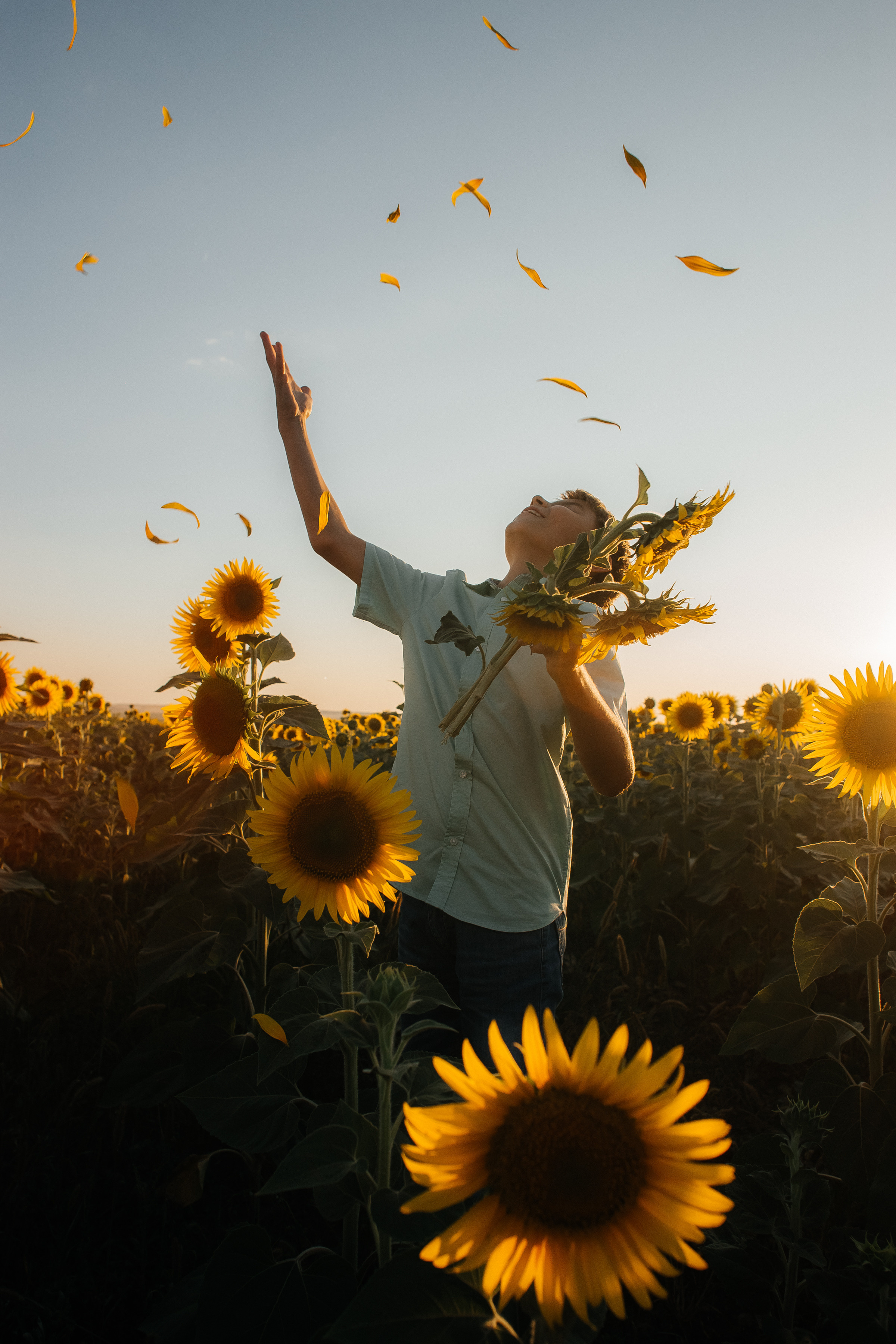 Ксения с сыном в подсолнухах. Ольга Плаксина фотограф в Саратове