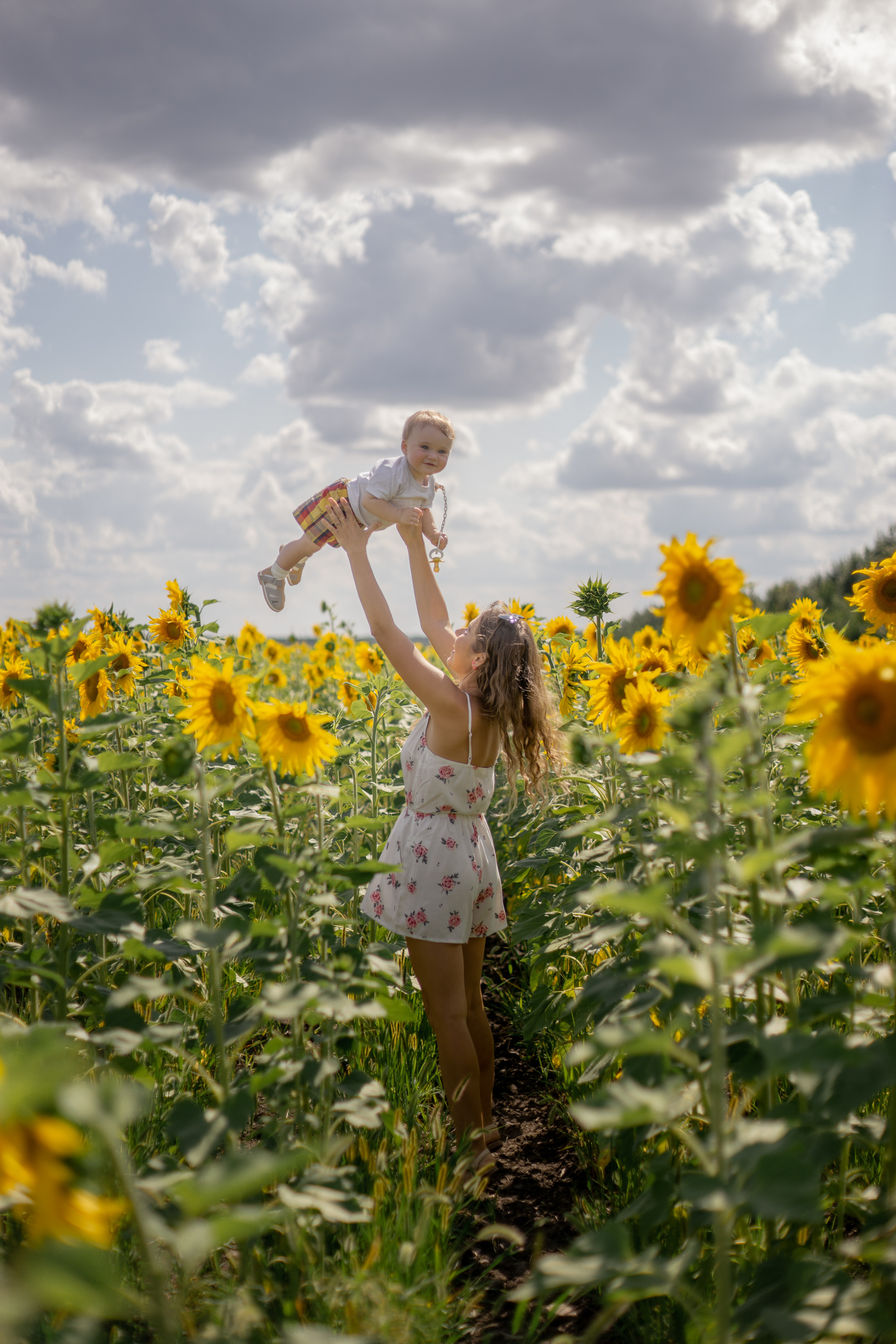 Семейная сьемка в подсолнухах. Ольга Плаксина фотограф в Саратове