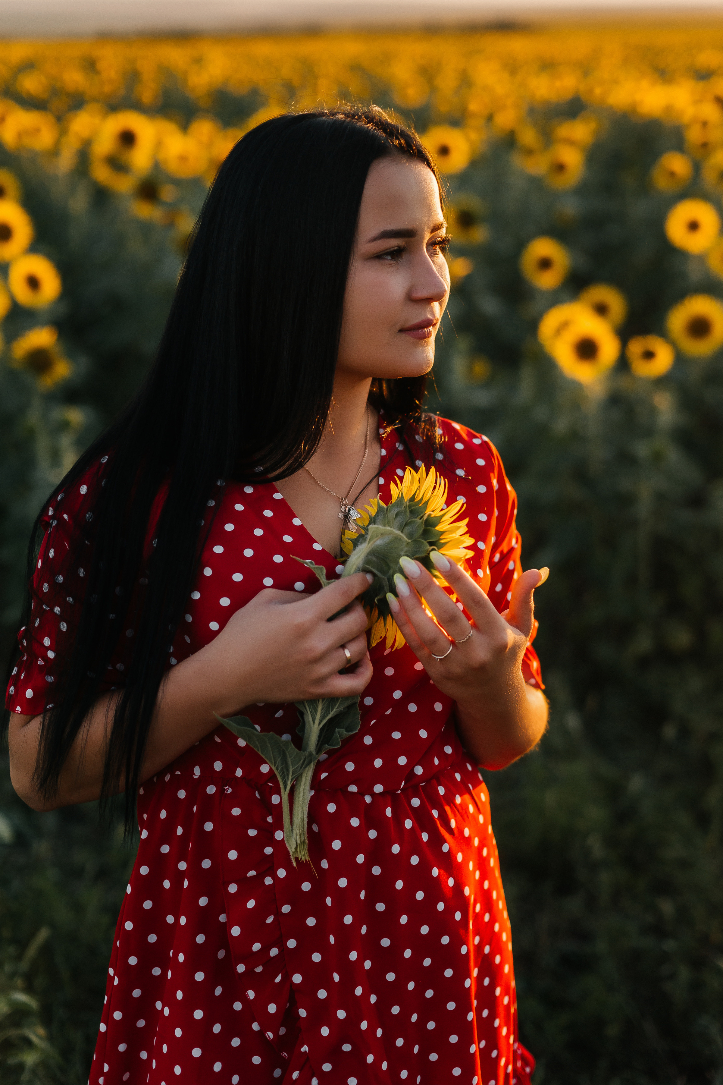 Полина в поле подсолнухов. Ольга Плаксина фотограф в Саратове