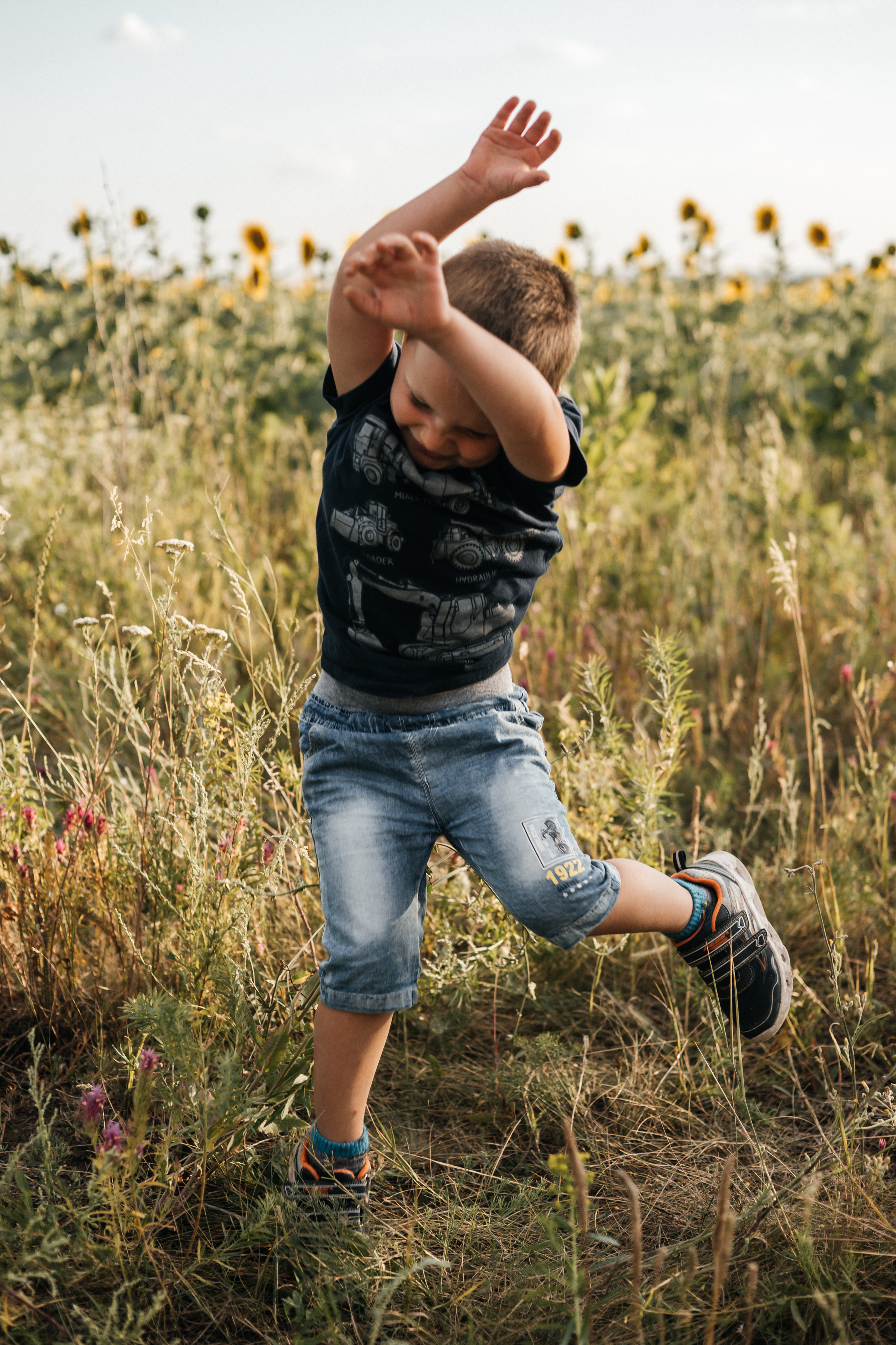Семья ежовых в подсолнухах. Ольга Плаксина фотограф в Саратове