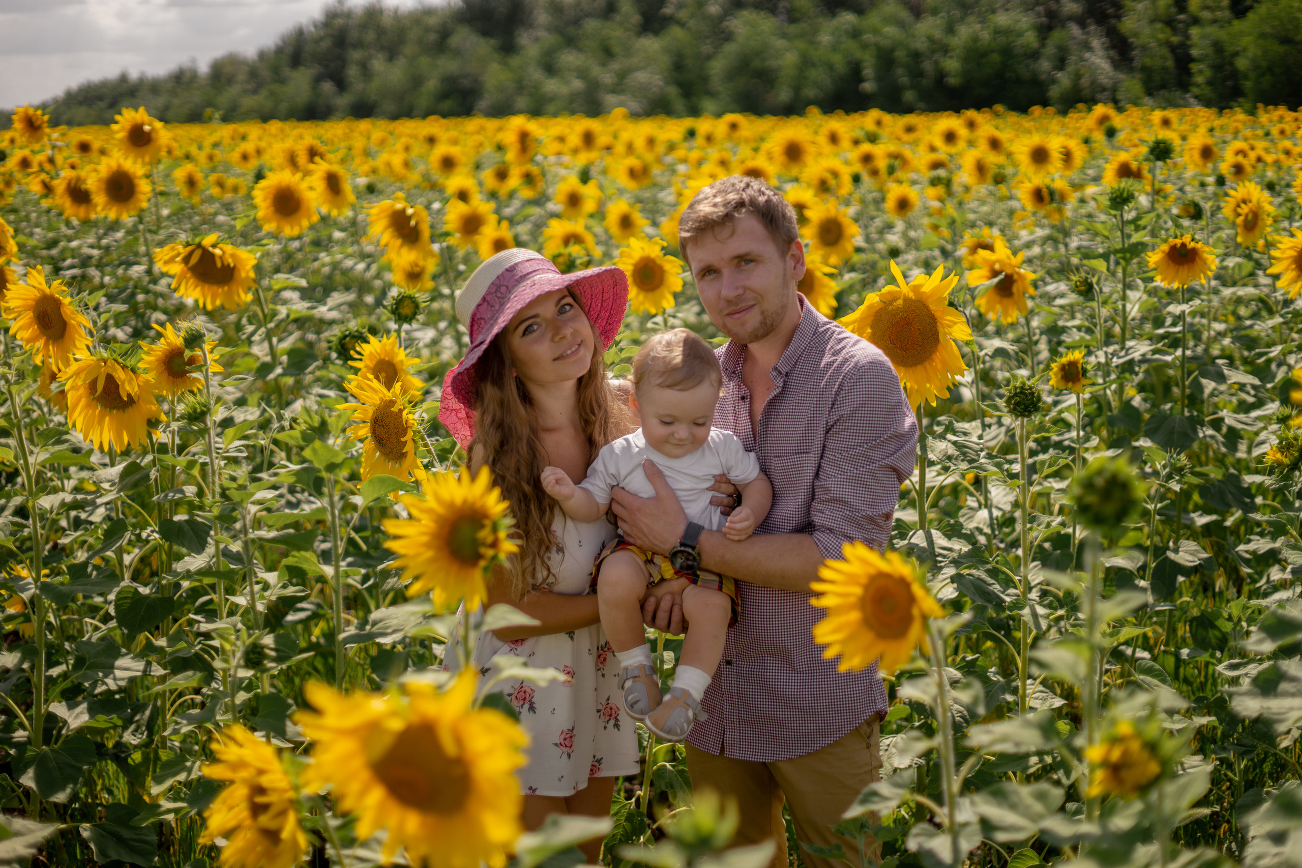 Семейная сьемка в подсолнухах. Ольга Плаксина фотограф в Саратове