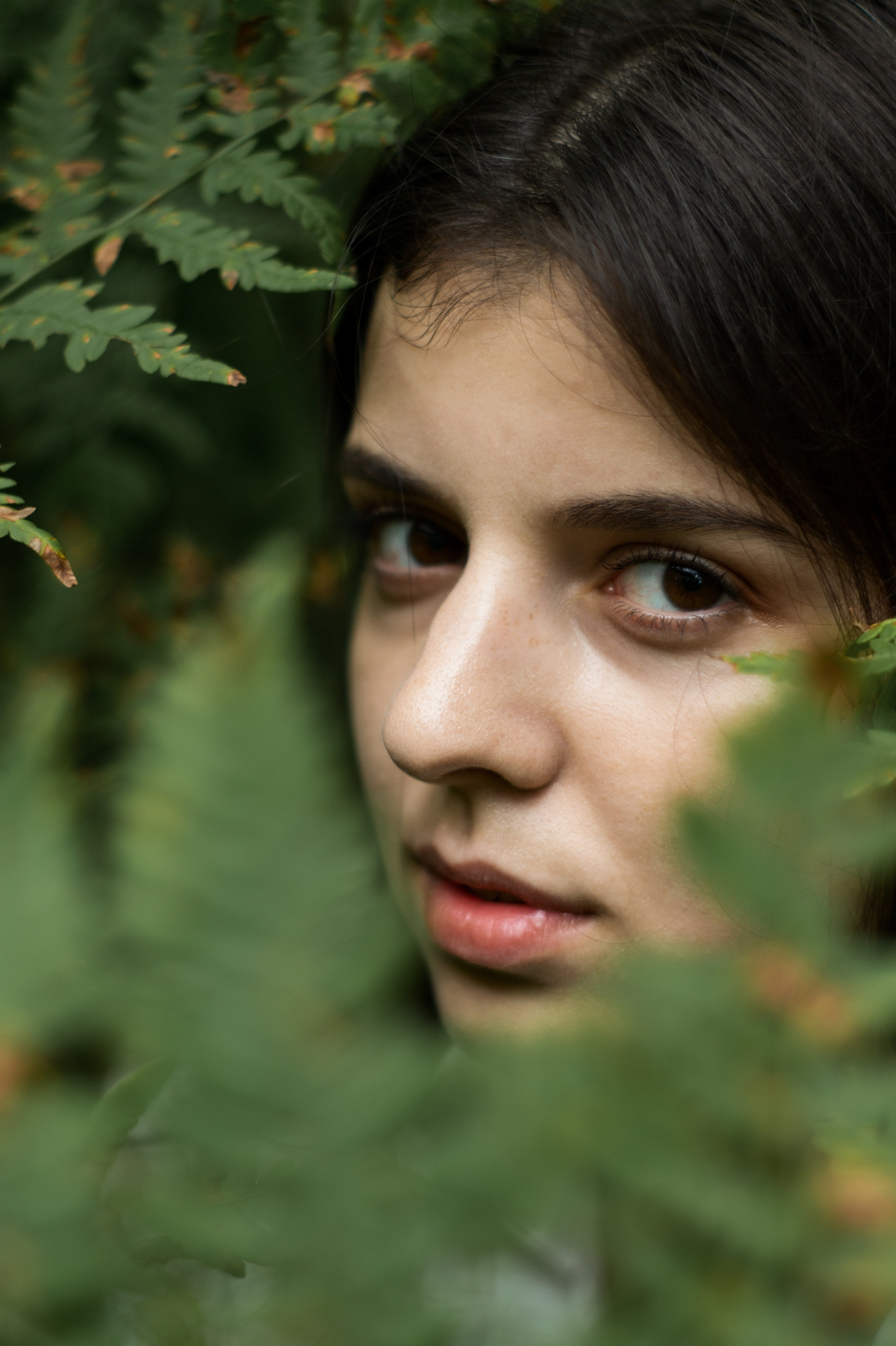 Папоротник. Фотограф Москва