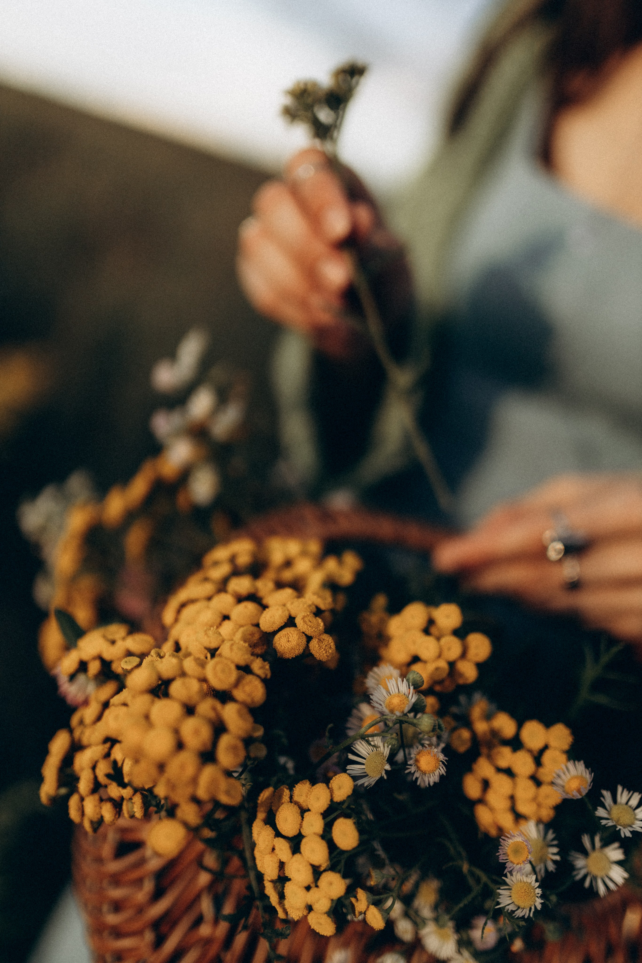 Полина. Фотограф НОГИНСК, Москва, Анастасия Белая