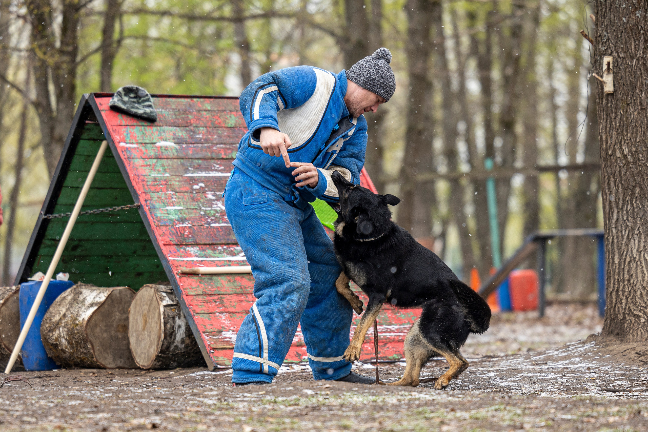 Квалификационные состязания по мондьорингу г. Вологда 11.05.24. Фотограф-анималист Анна Маринич