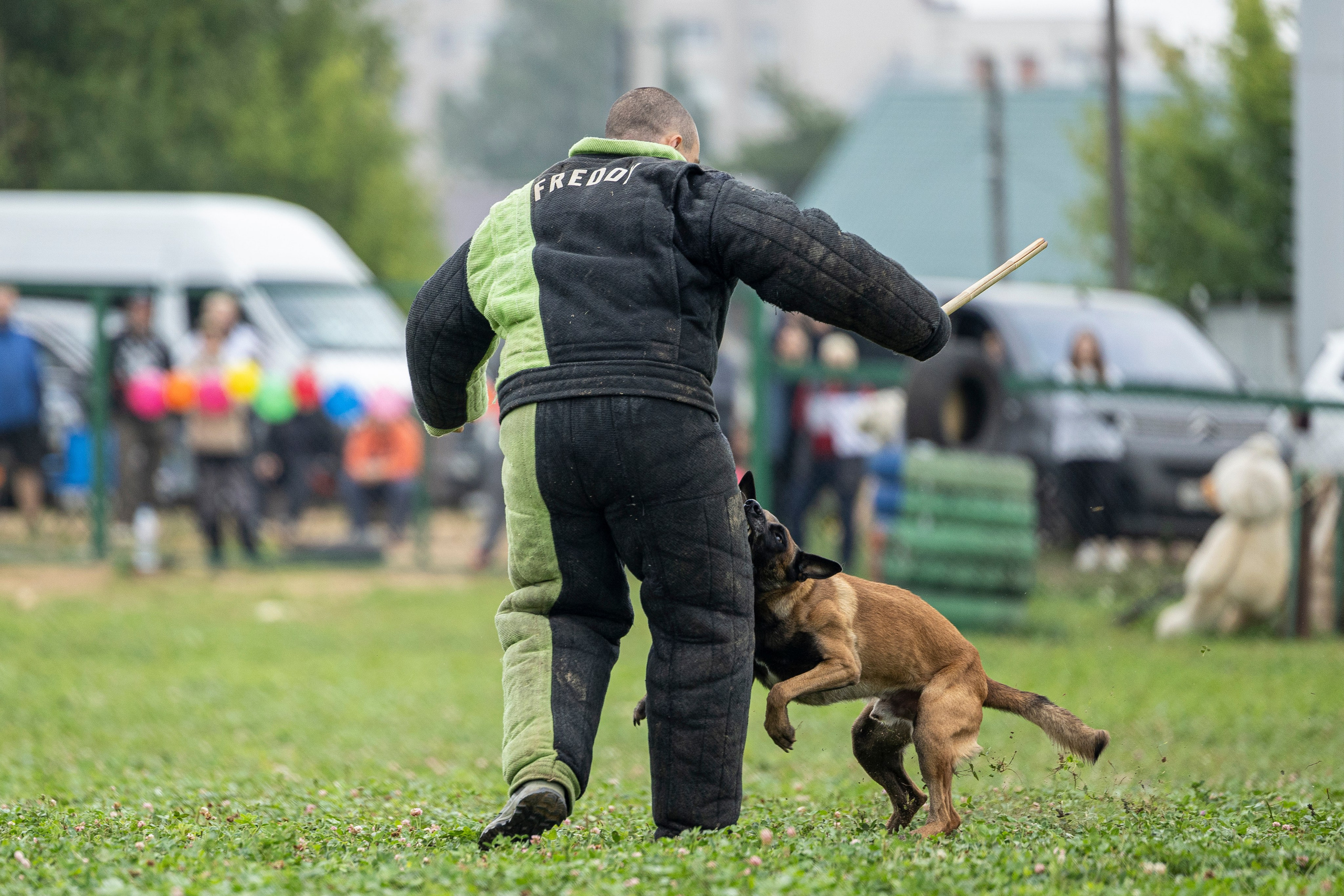Соревнования по Мондьорингу г. Вологда 10-11.08.2024. Фотограф-анималист Анна Маринич