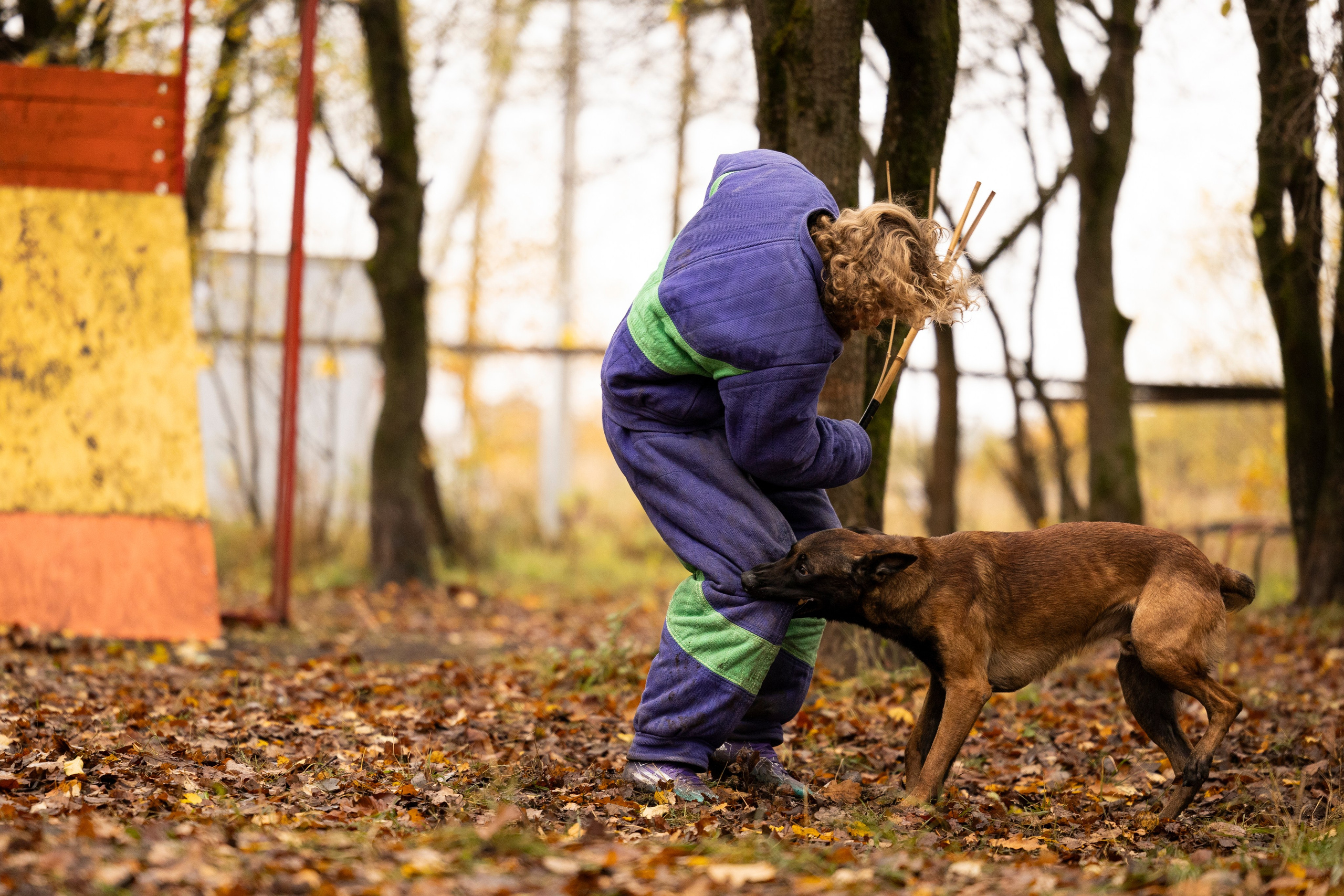 Соревнования по Мондьорингу г. Вологда. Фотограф-анималист Анна Маринич