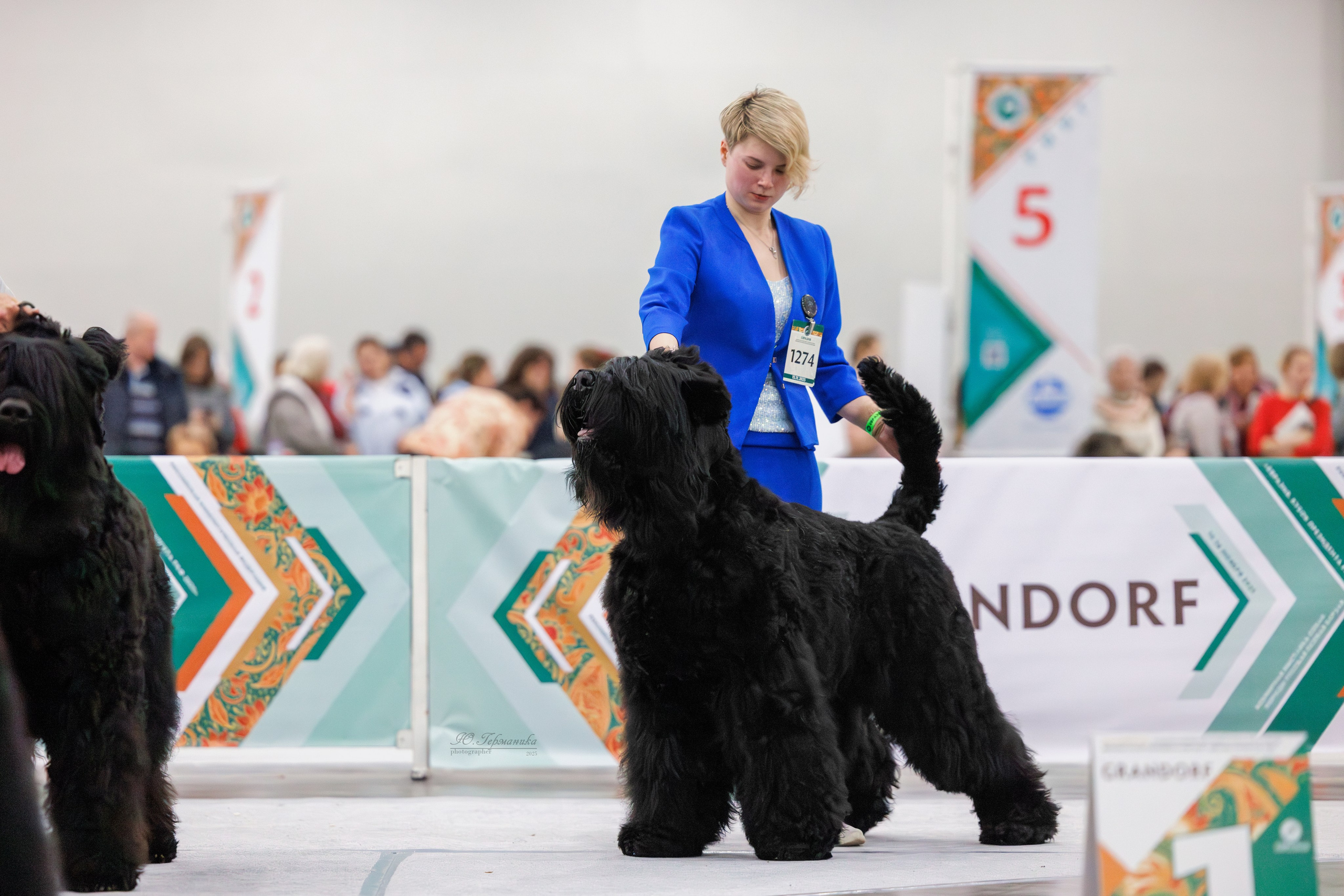 Евразия 15-16.11.2025. Фотограф-анималист Юлия Германика