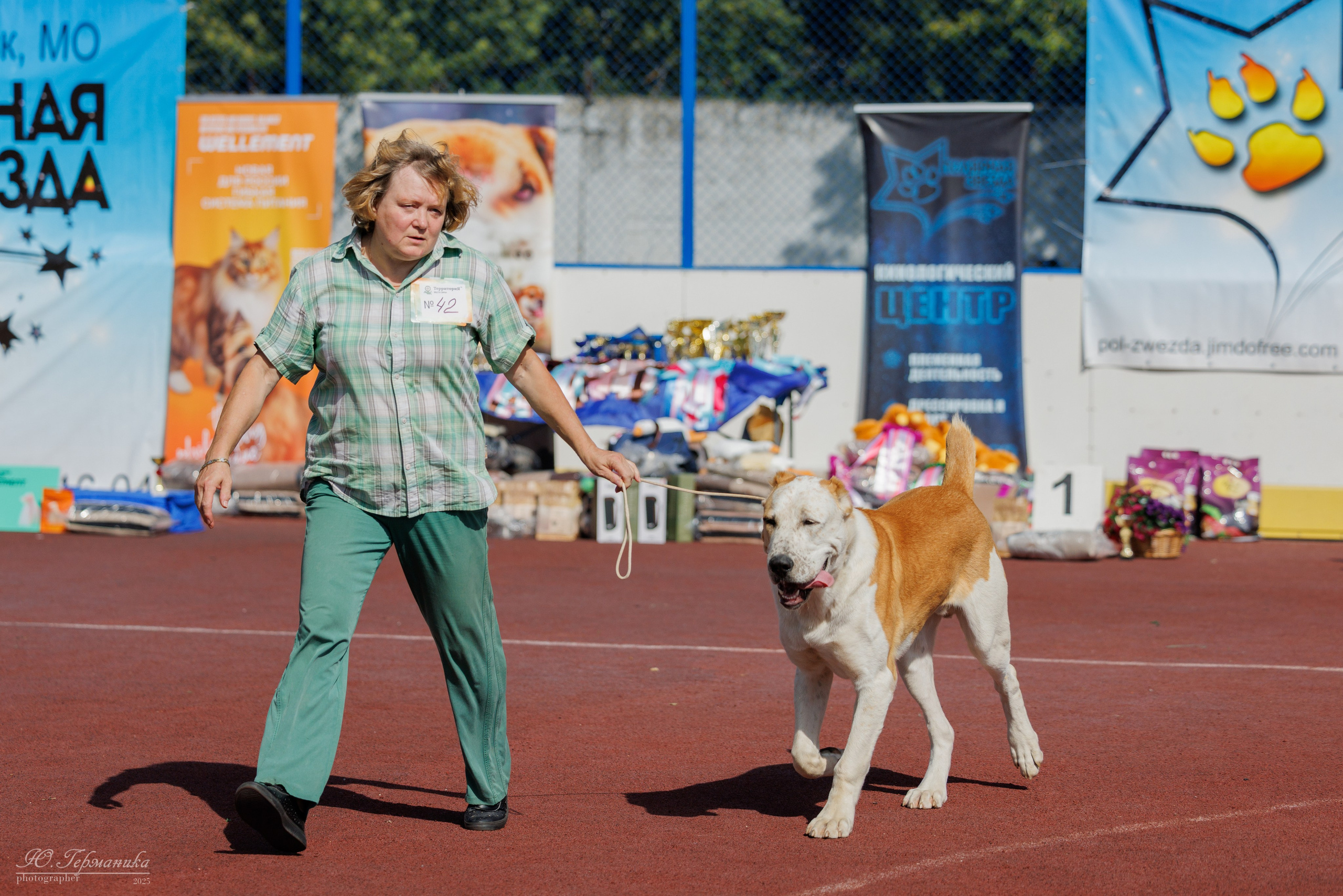 Коломна 30.08.2025. Фотограф-анималист Юлия Германика
