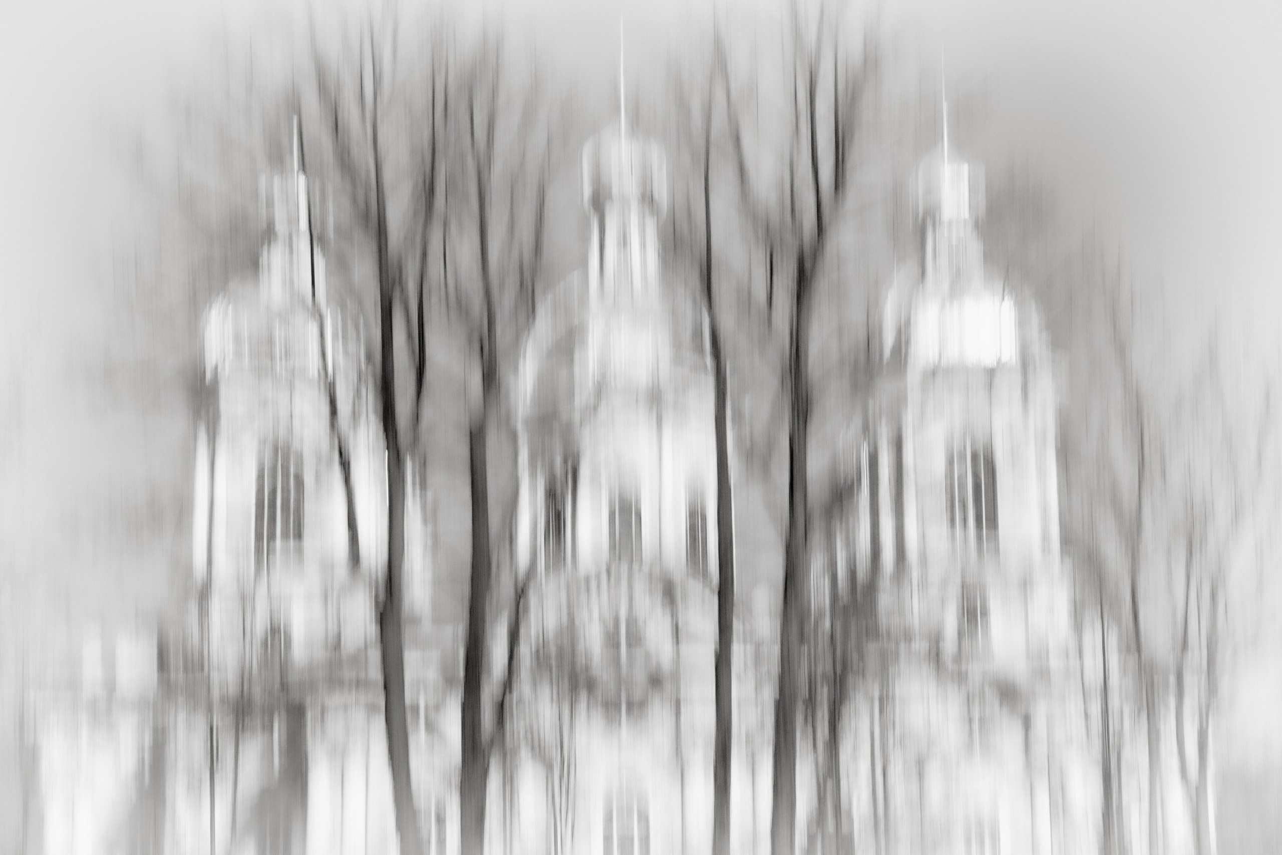 Черно-белый этюд. Фотограф Ольга Дунаева