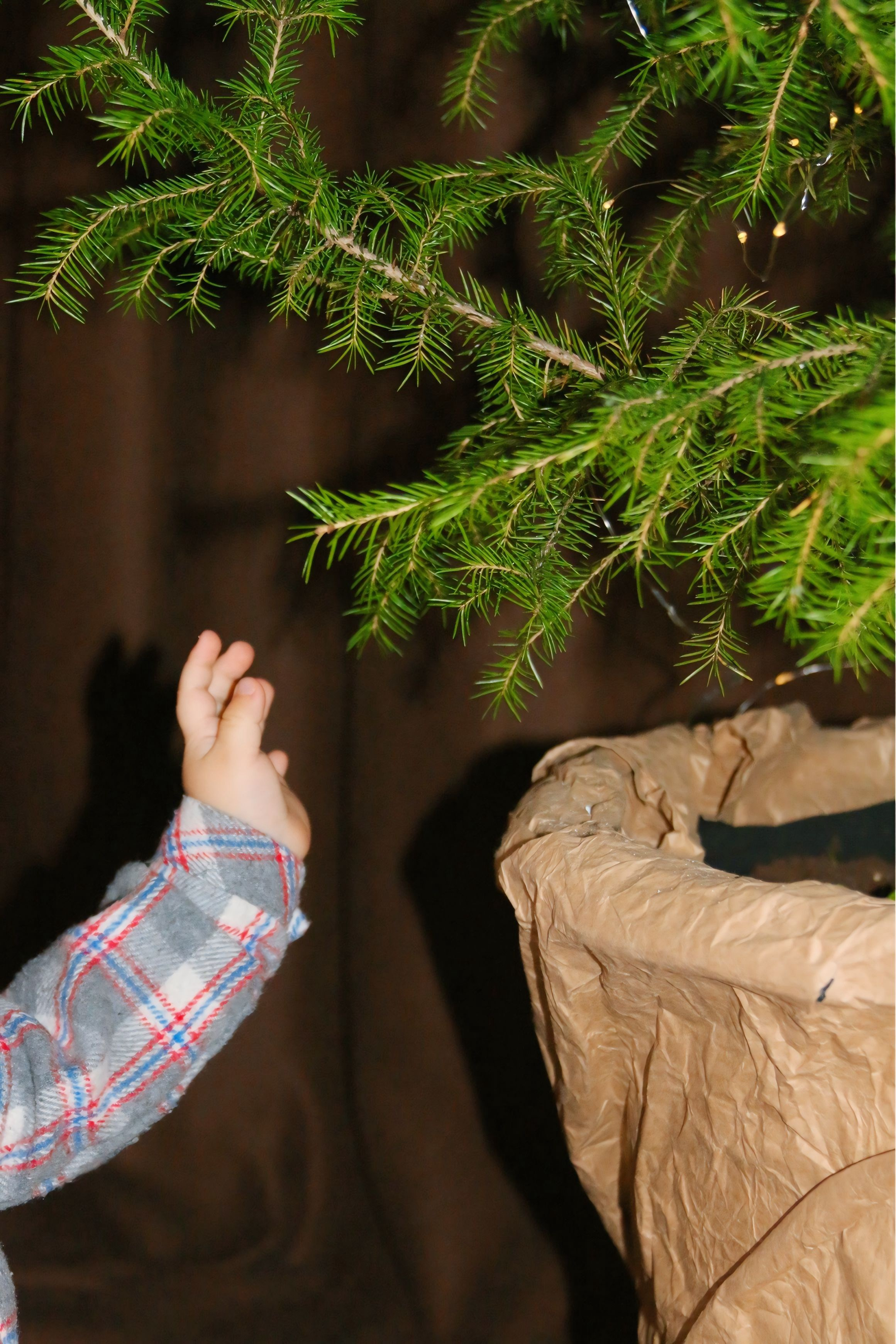 Новогодняя фотосессия мамы с сыном