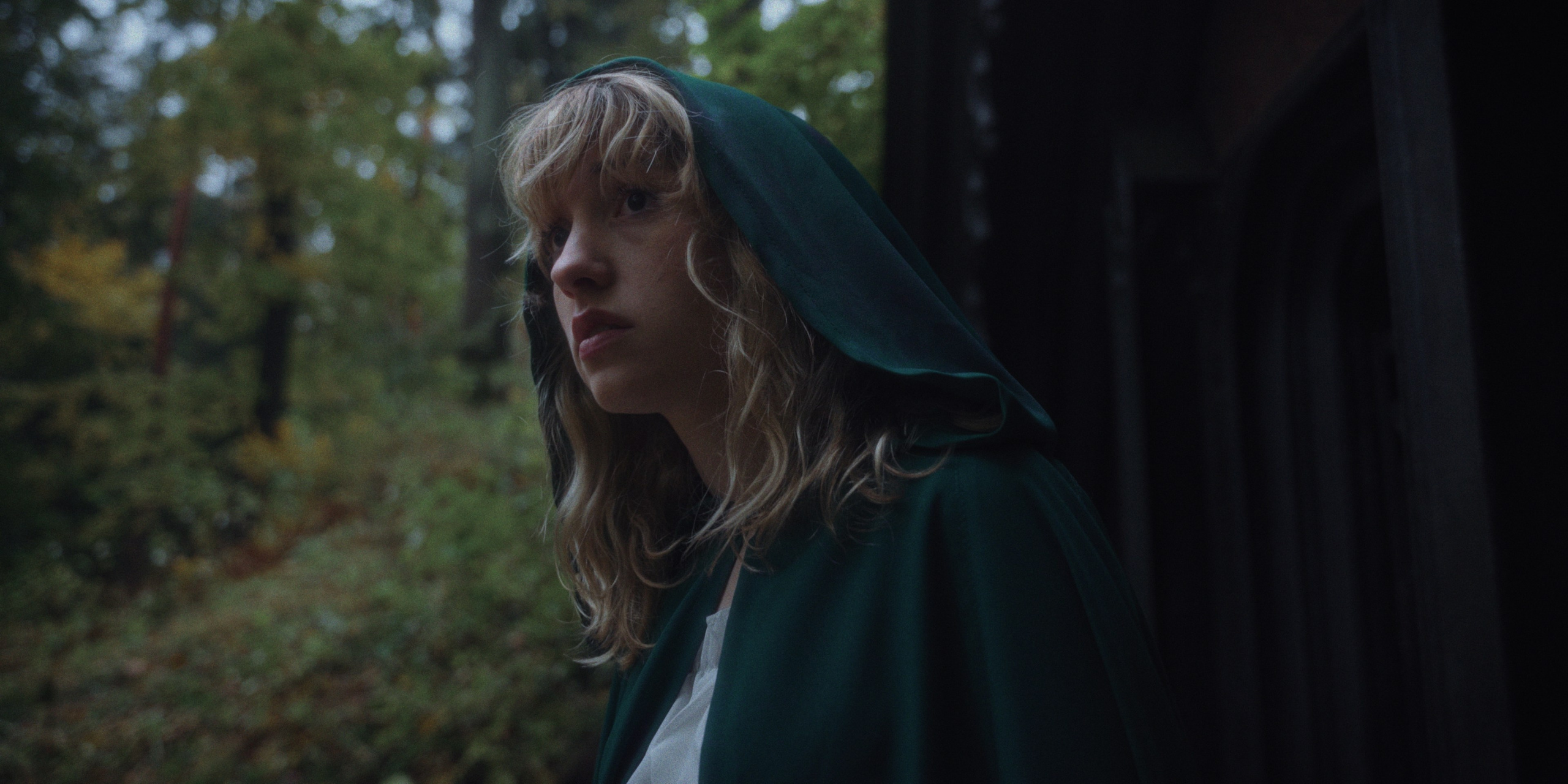 Winds of freedom (music video). Цветокоррекция видео онлайн Иван Сержанов