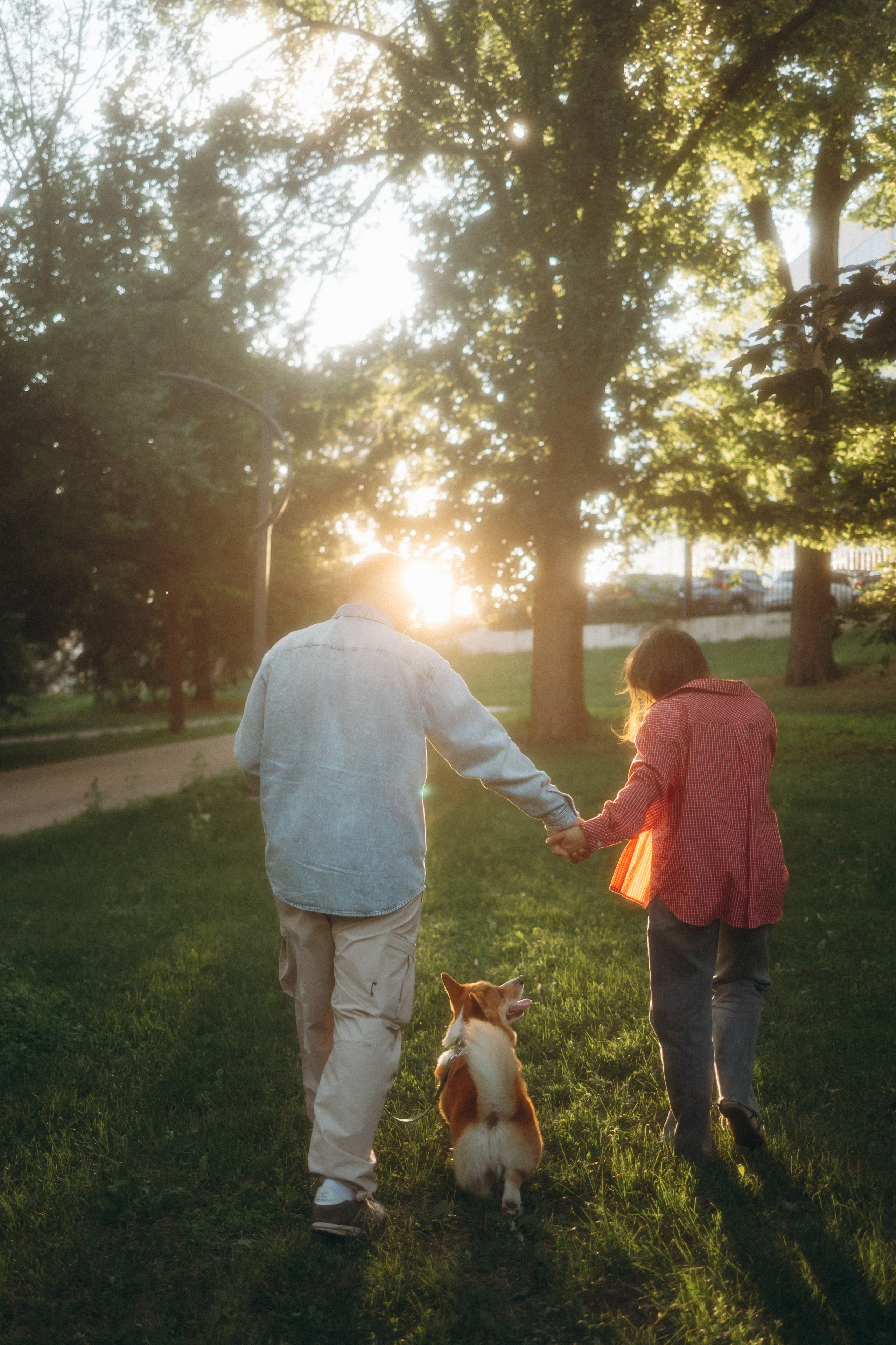 Момо, Люда и Эд. Фотограф анималист Анастасия Пикей