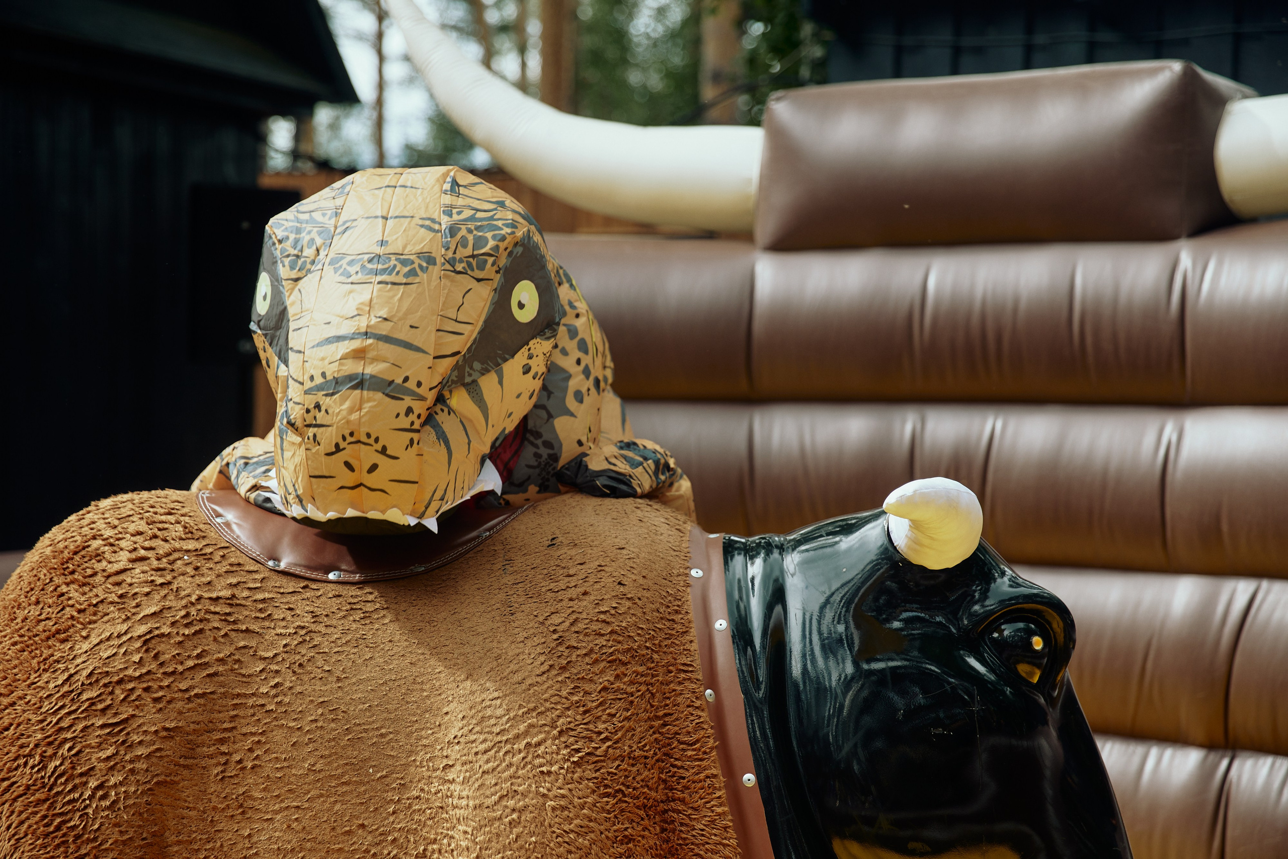 AVLN TEN YEARS. Дмитрий Мазуркевич: Профессиональный Репортажный Фотограф