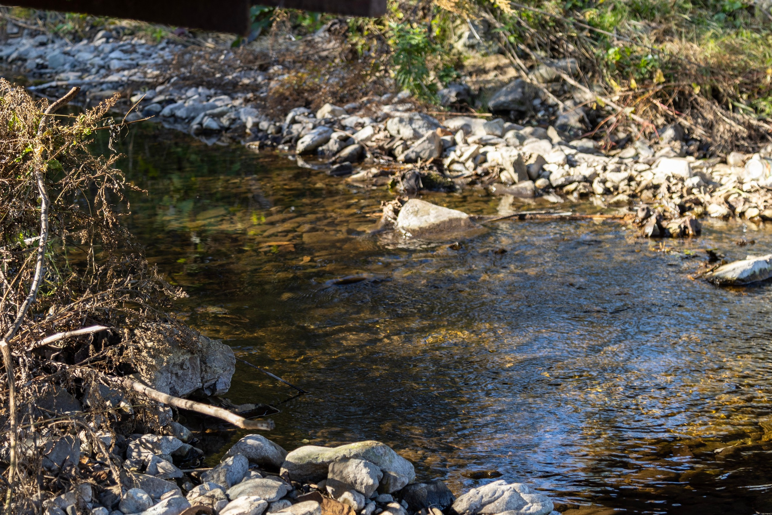 Фестиваль «Большой пикник», репортаж для ASAP Speedcubing. Репортажный и портретный фотограф в Владивостоке