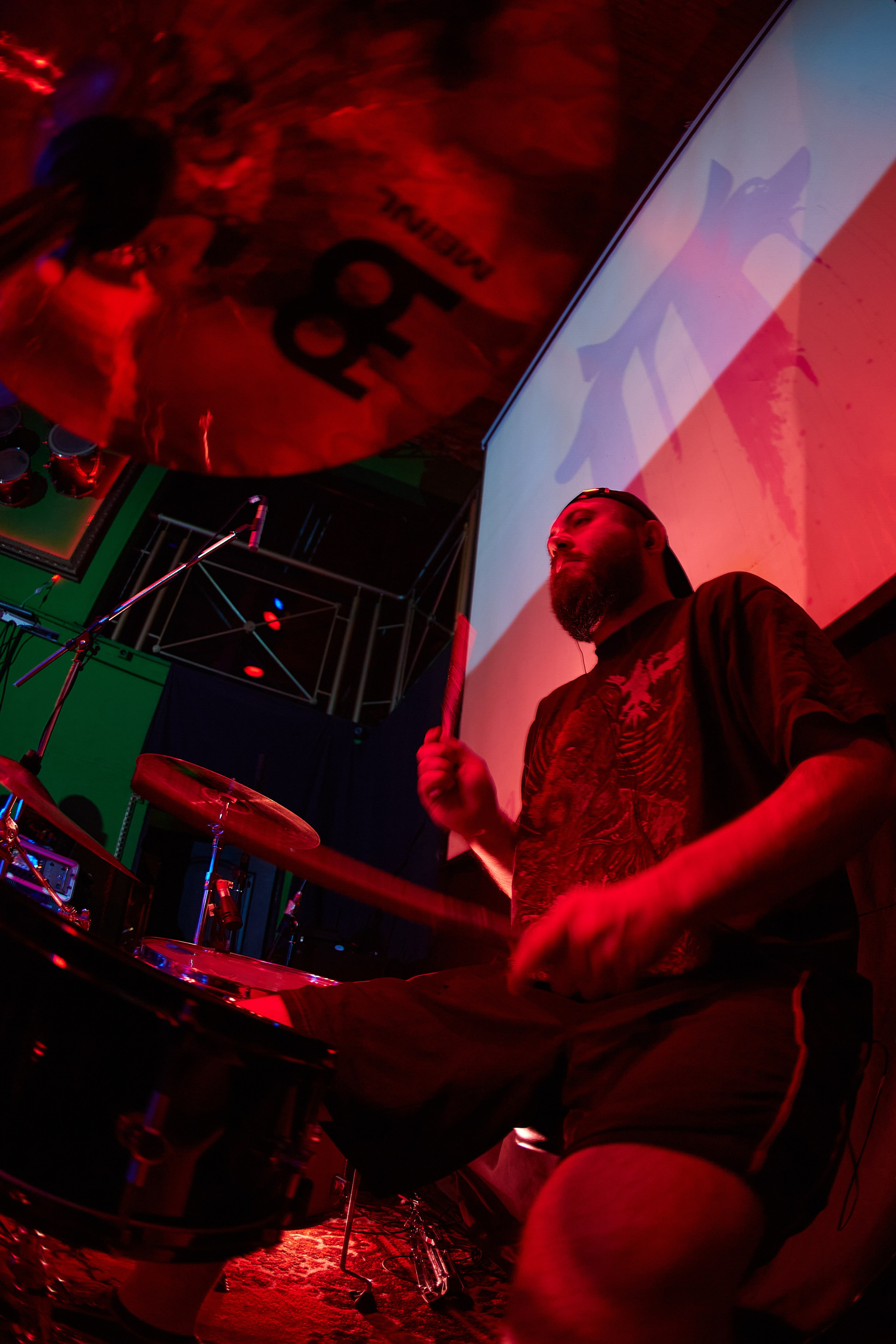 2023-11-04. Tired dog